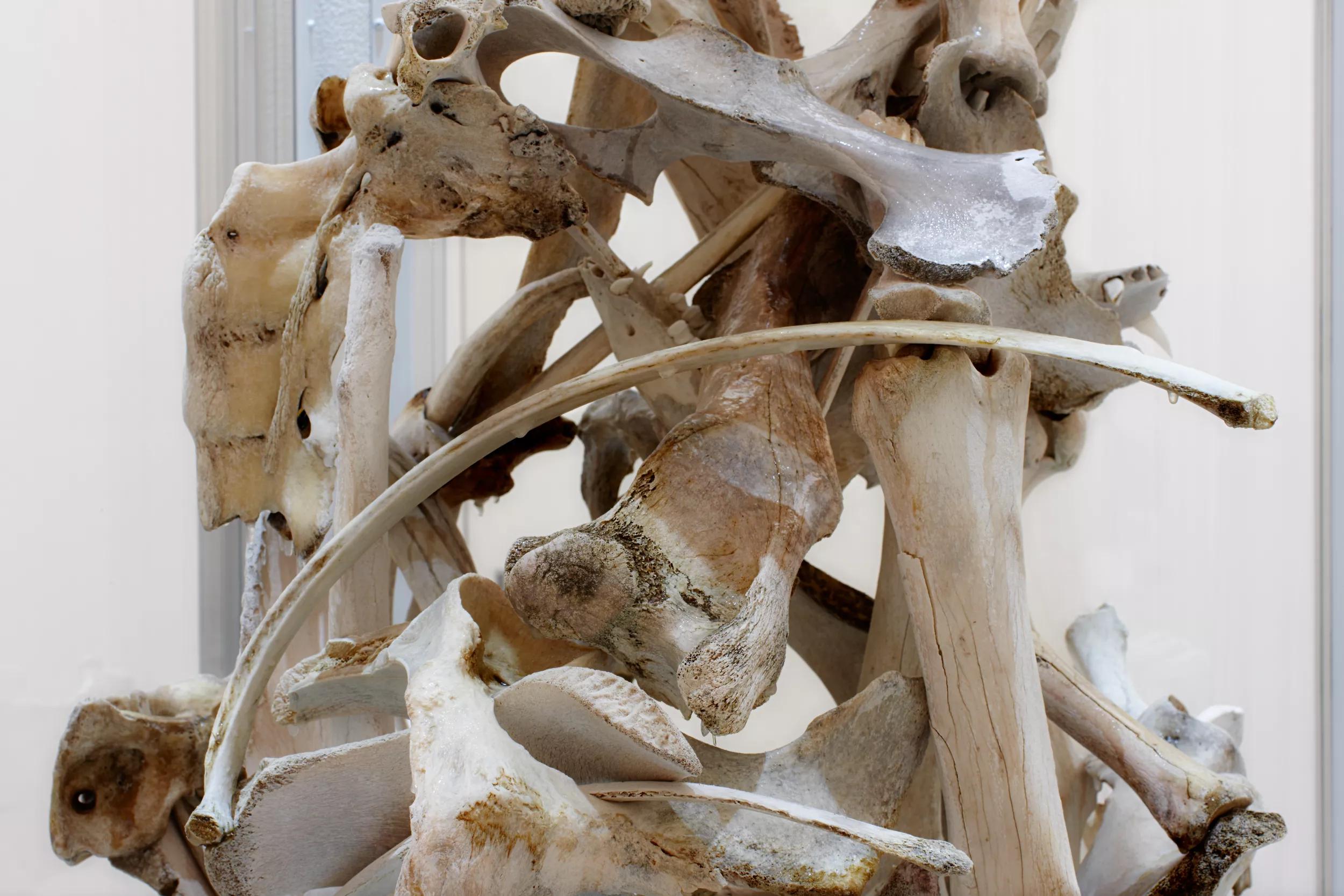 Image for exhibition titled Larry Bamburg