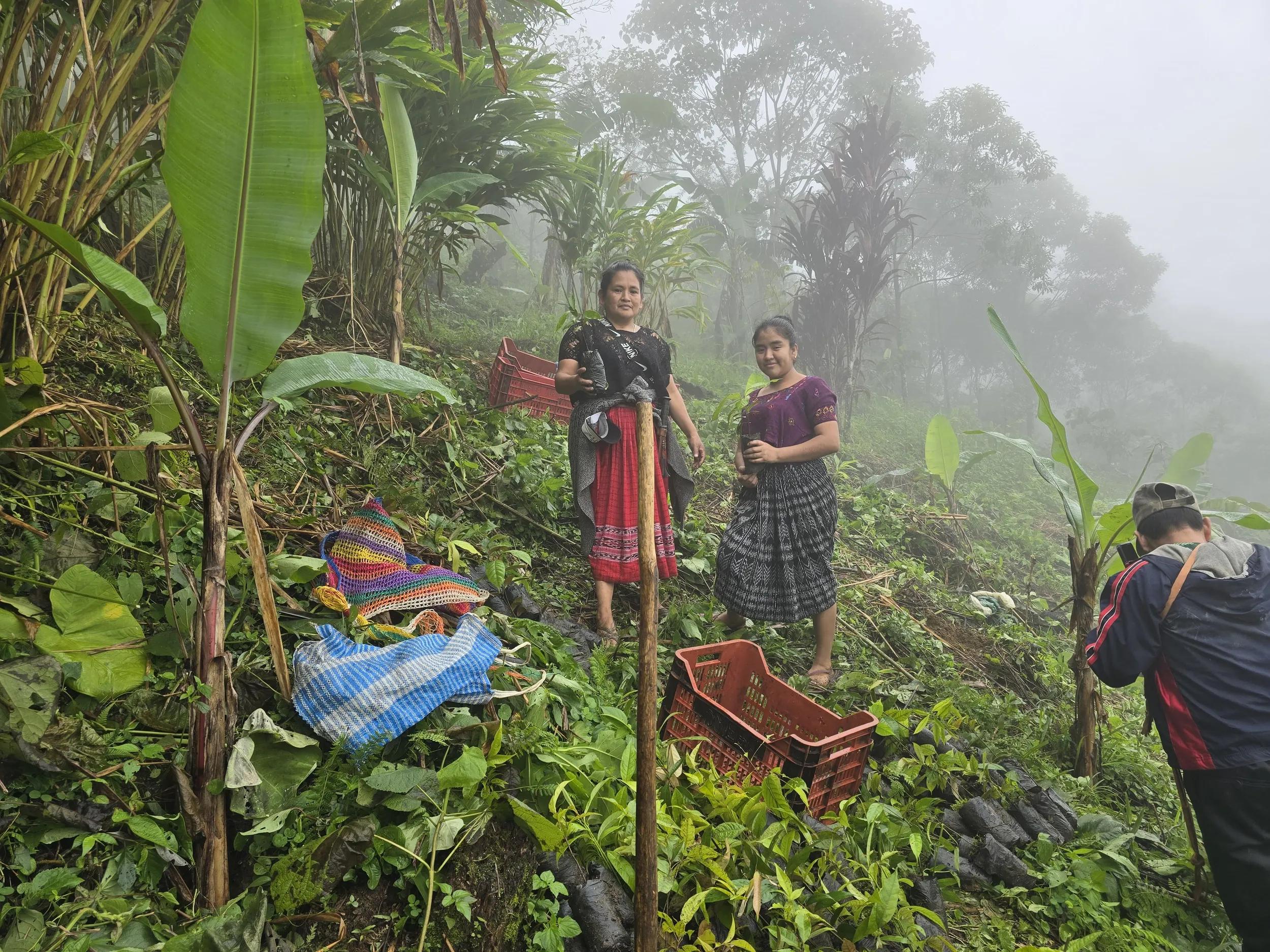 Image for exhibition titled Art of Nature