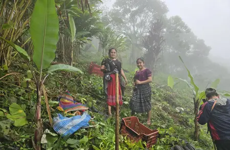 Image for news titled Art of Nature