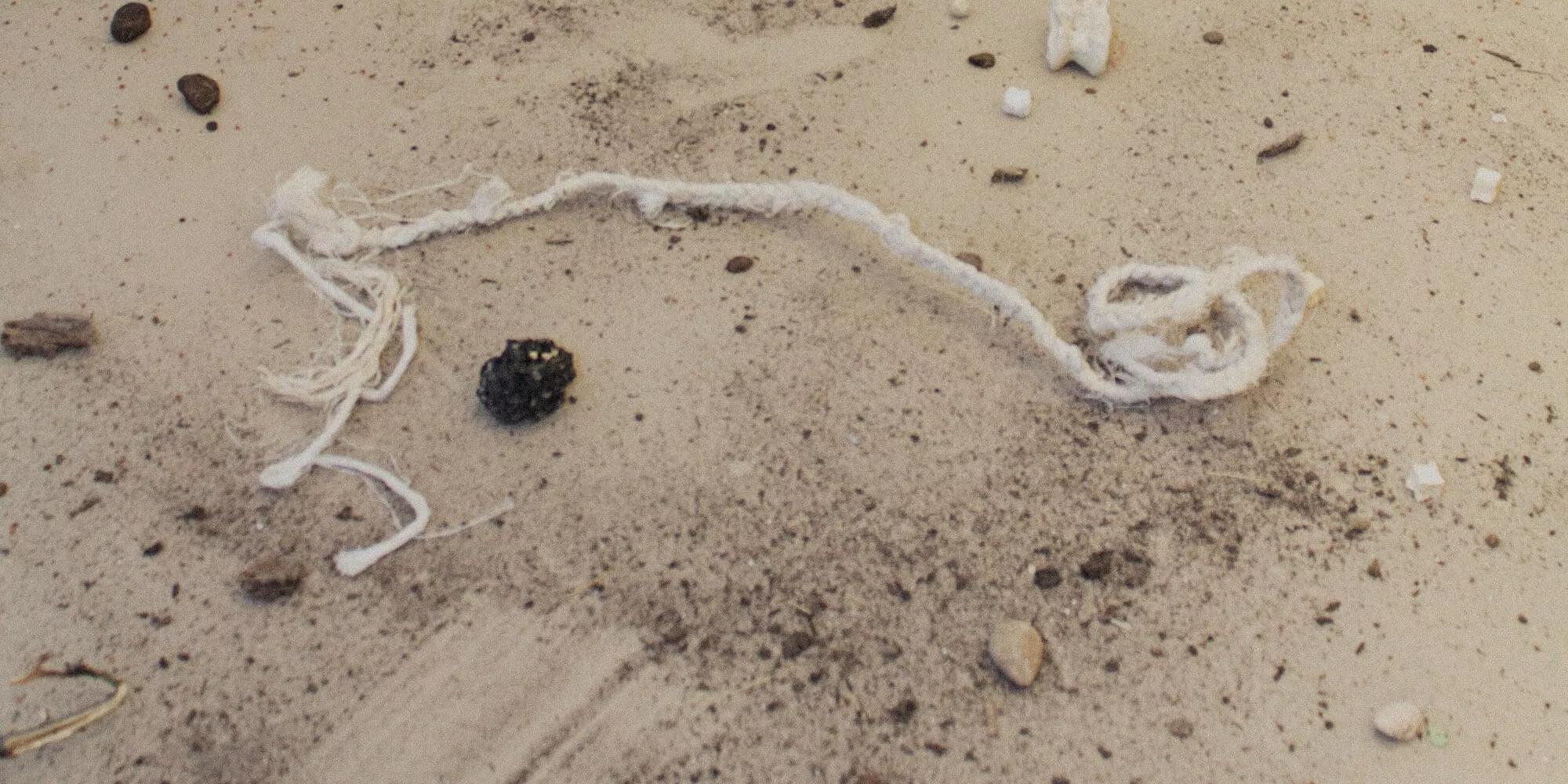 Hero image for exhibition titled Part VI<br>IN THE WAKE<br><span style="font-size: medium;">Simon Benjamin, Rocío Guerrero, Polina Tereshina, Miko Veldekamp, Matthew Weiderspon<br>May 21-29</span>