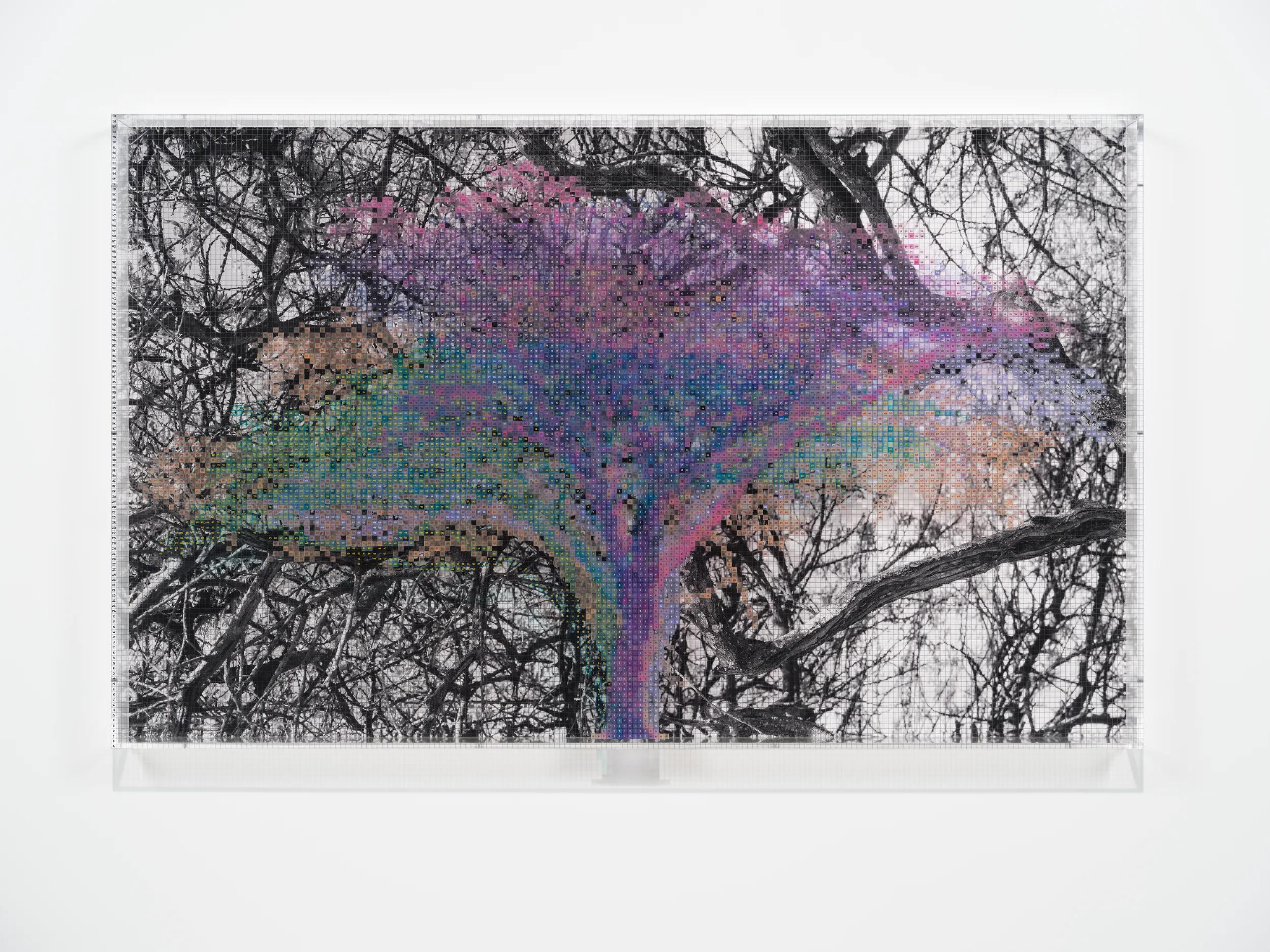 Image for exhibition titled Charles Gaines