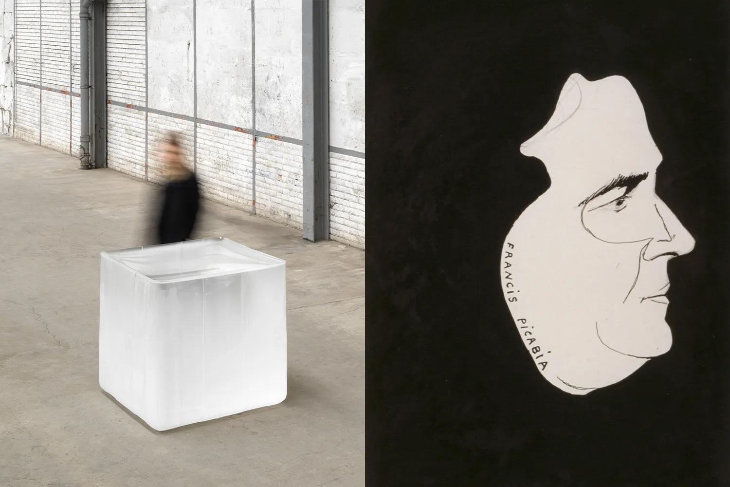 Hero image for event titled Opening Reception: ‘Roni Horn. Seizure of Hope’ and  ‘Francis Picabia. Expanding Horizons’