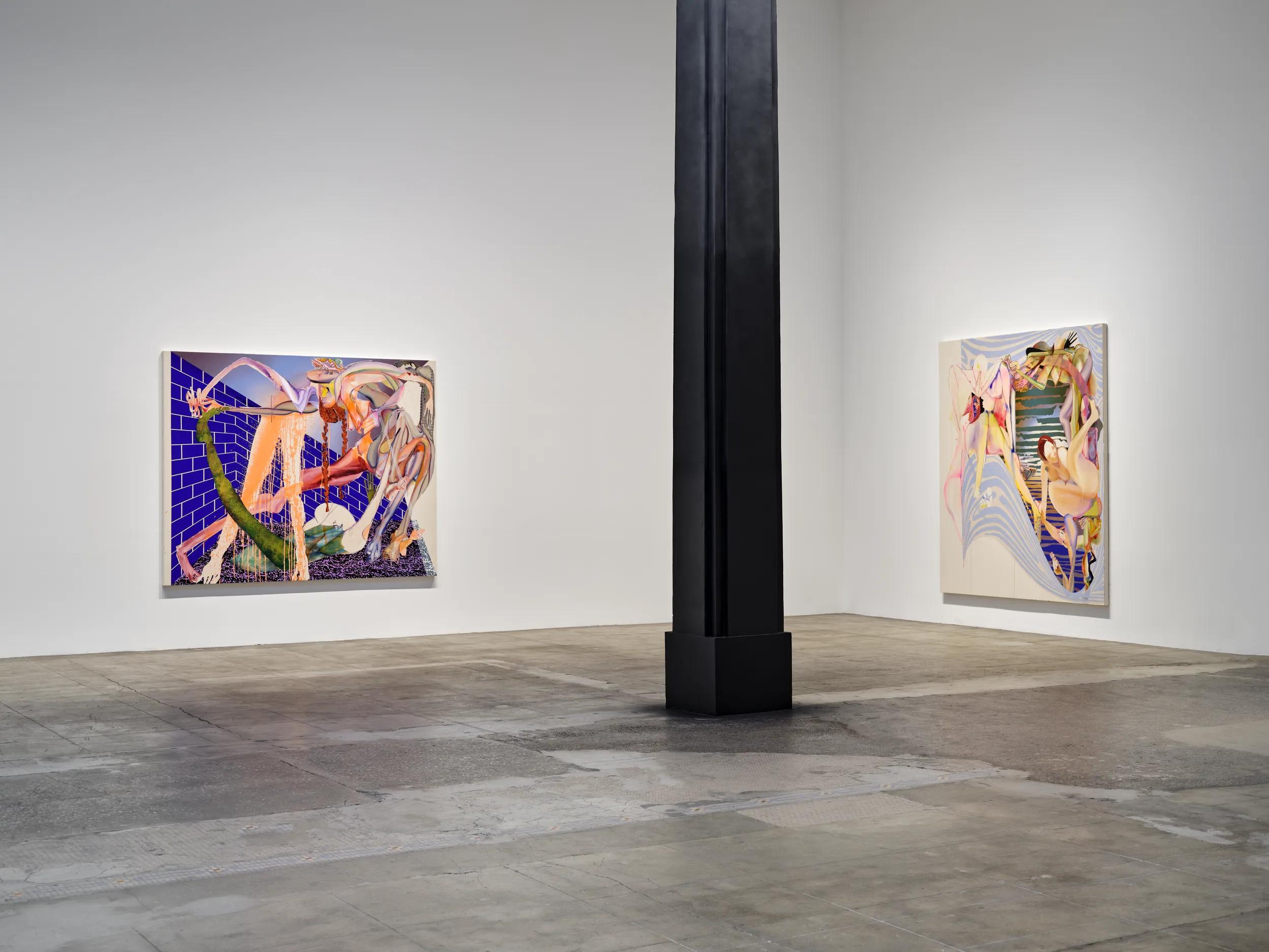 Installation view image for Installation Views