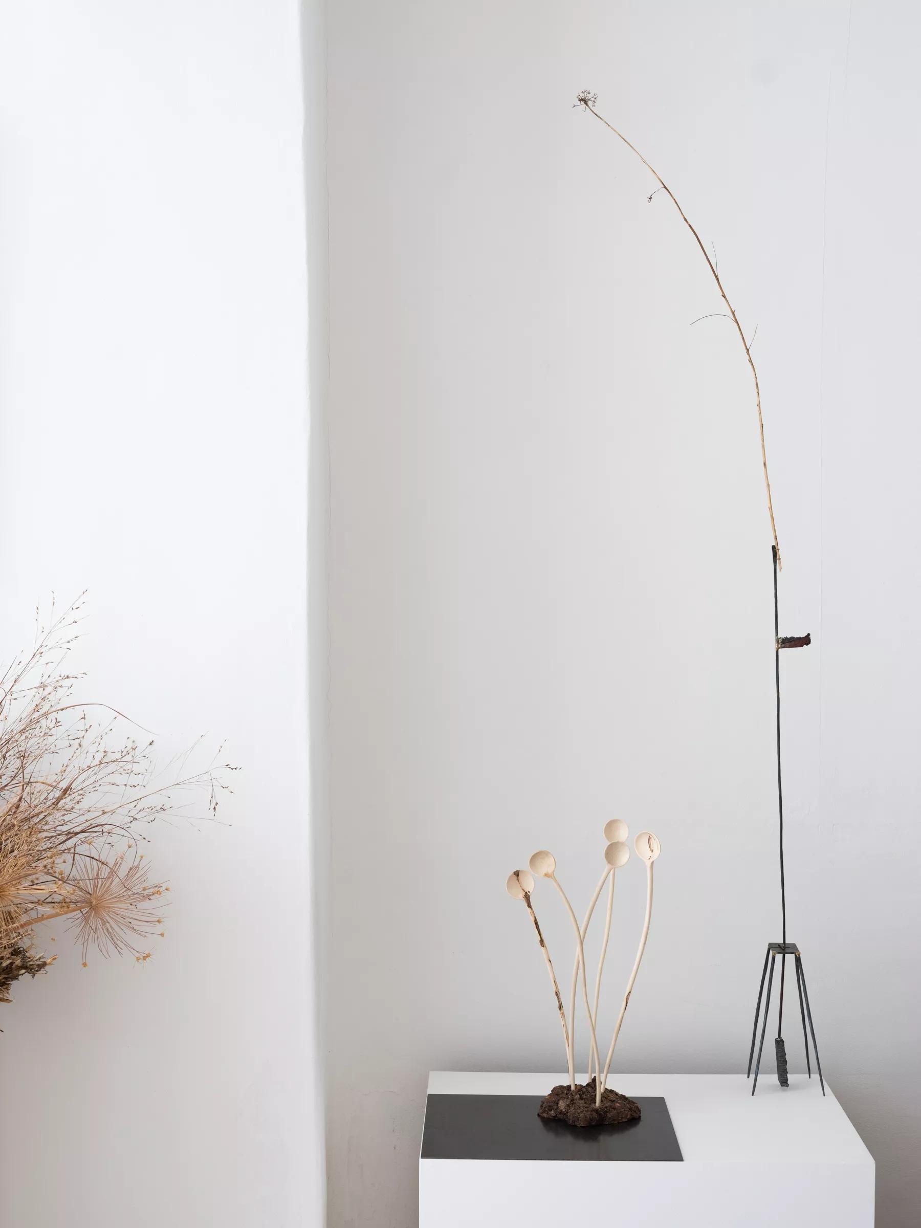 Image for exhibition 