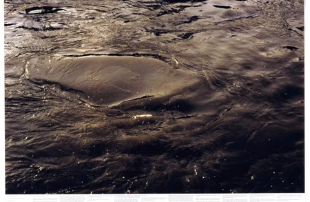 Thumbnail image for news titled Roni Horn: Saying Water