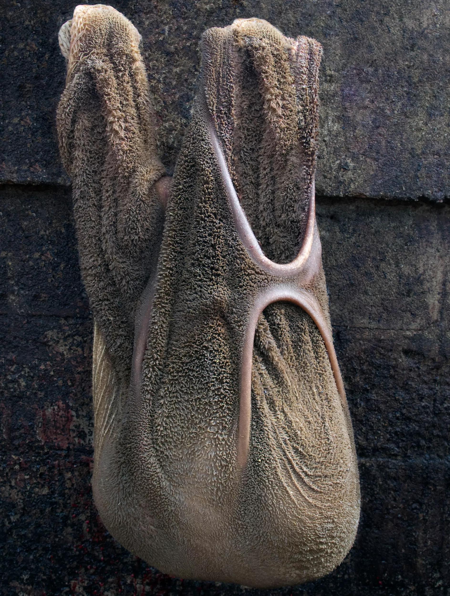 Image for exhibition 