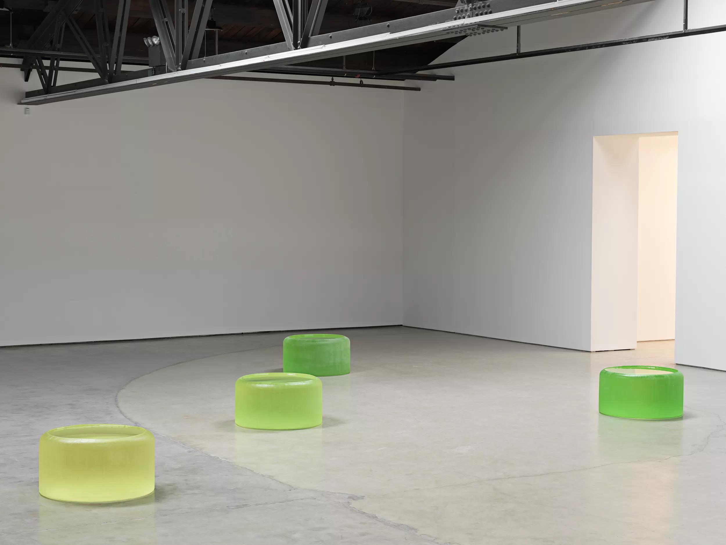 Image for Roni Horn