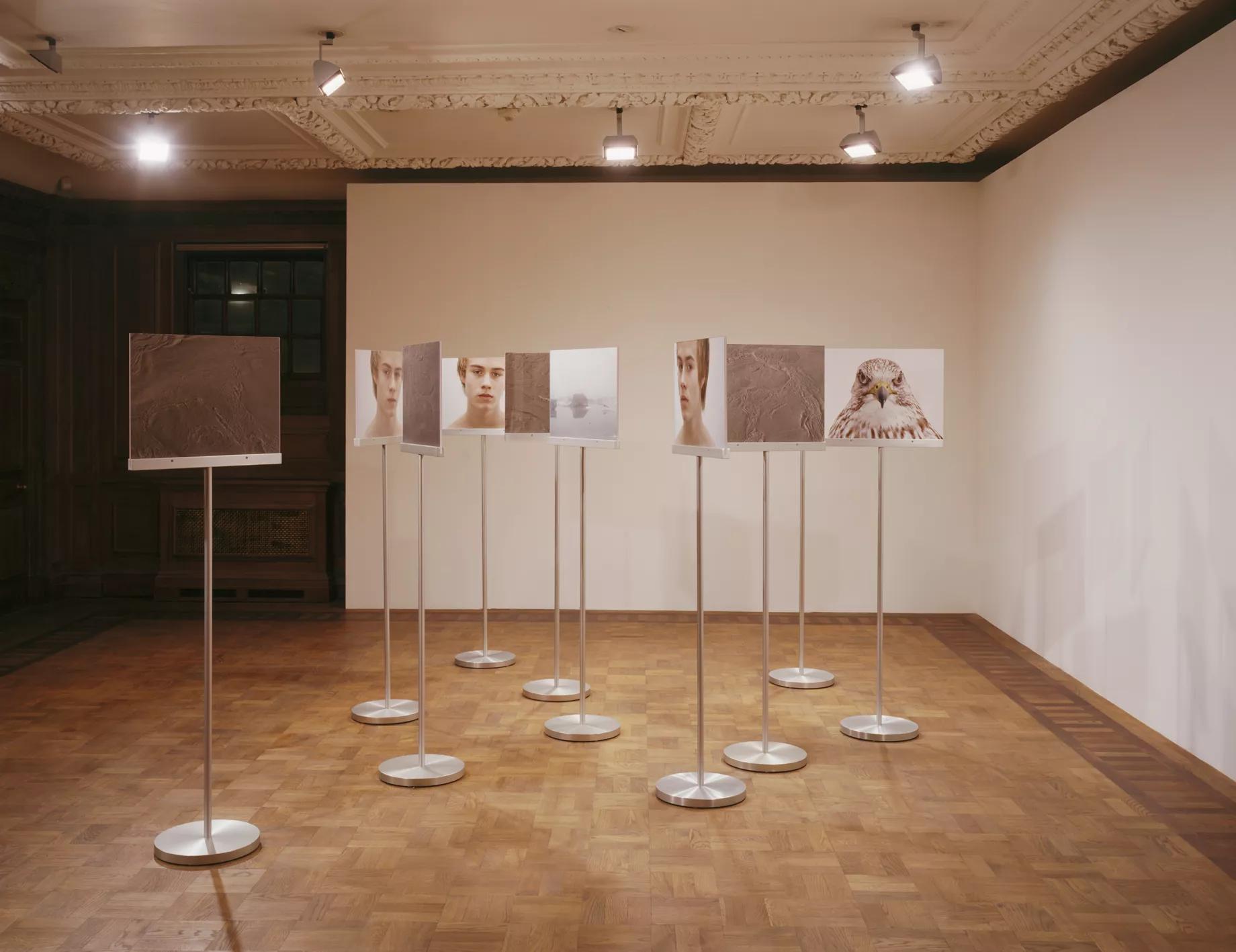 Image for Roni Horn