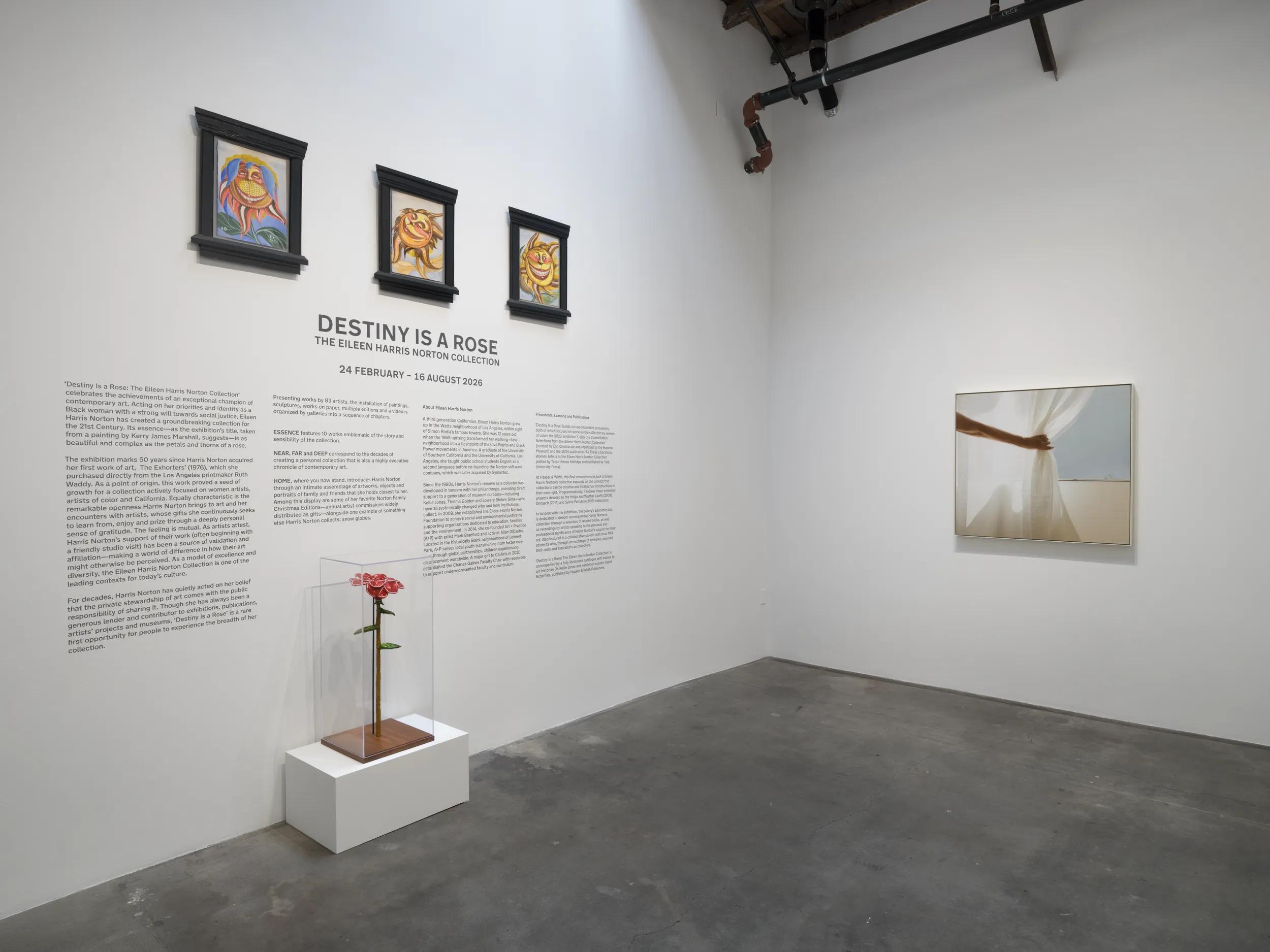 Thumbnail image for Exhibition titled The New York Times