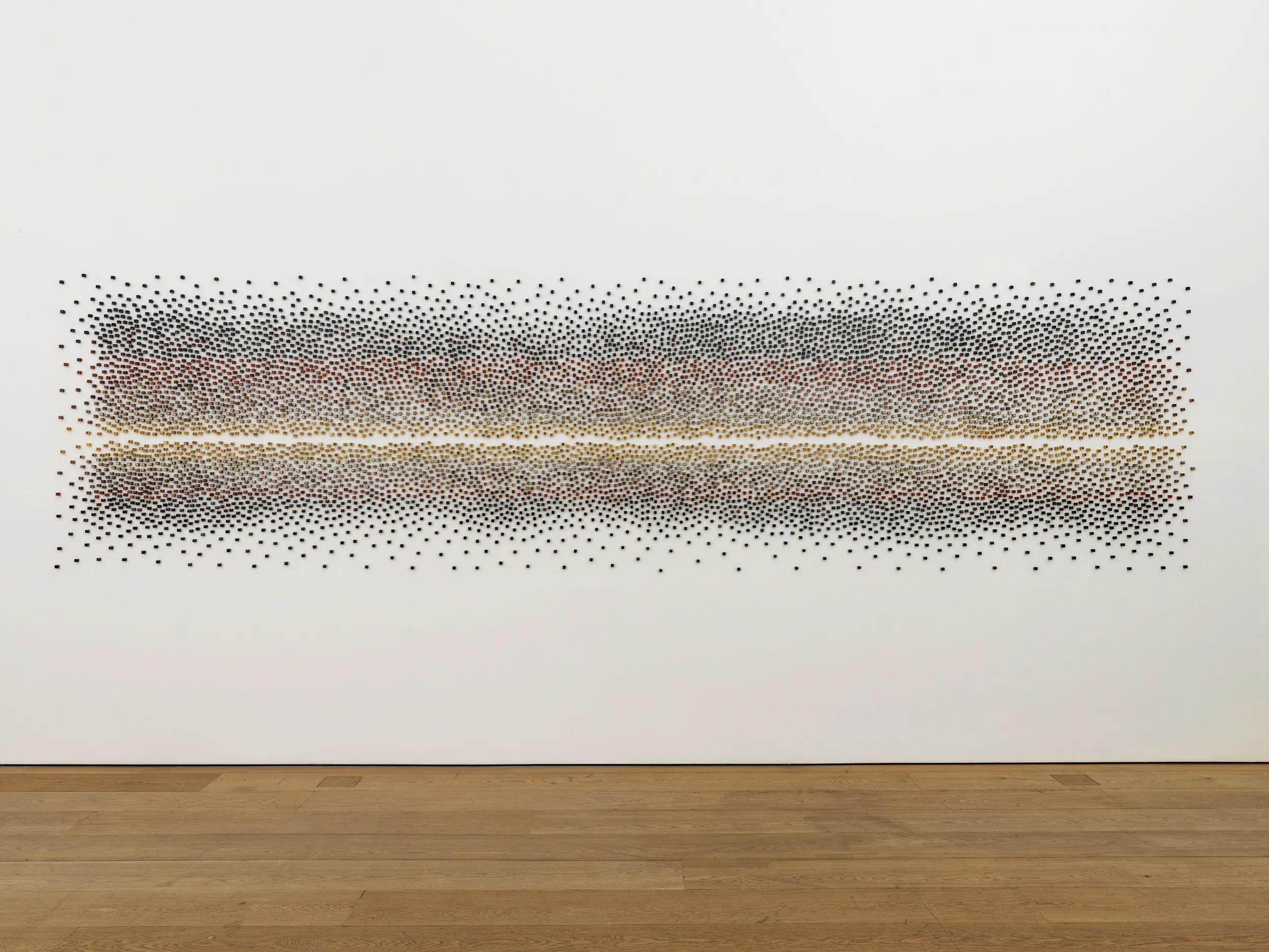 Image for exhibition titled Teresita Fernández