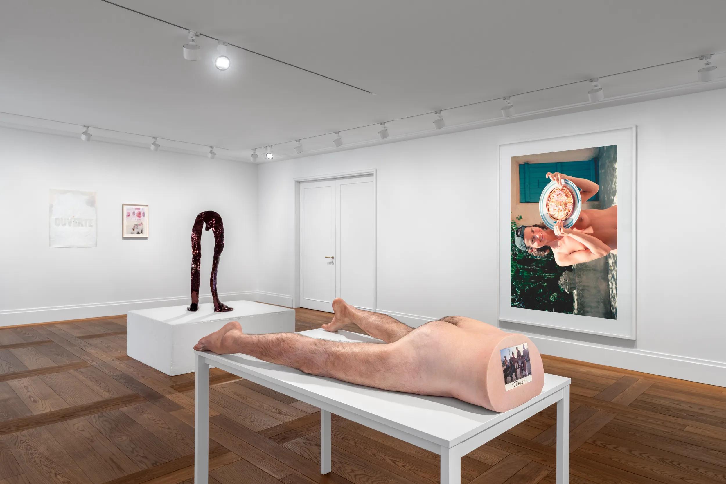 Installation view image 