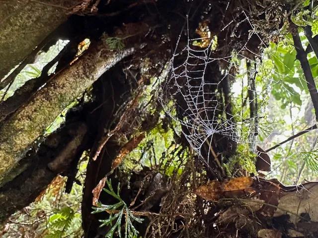 Image for right hero section