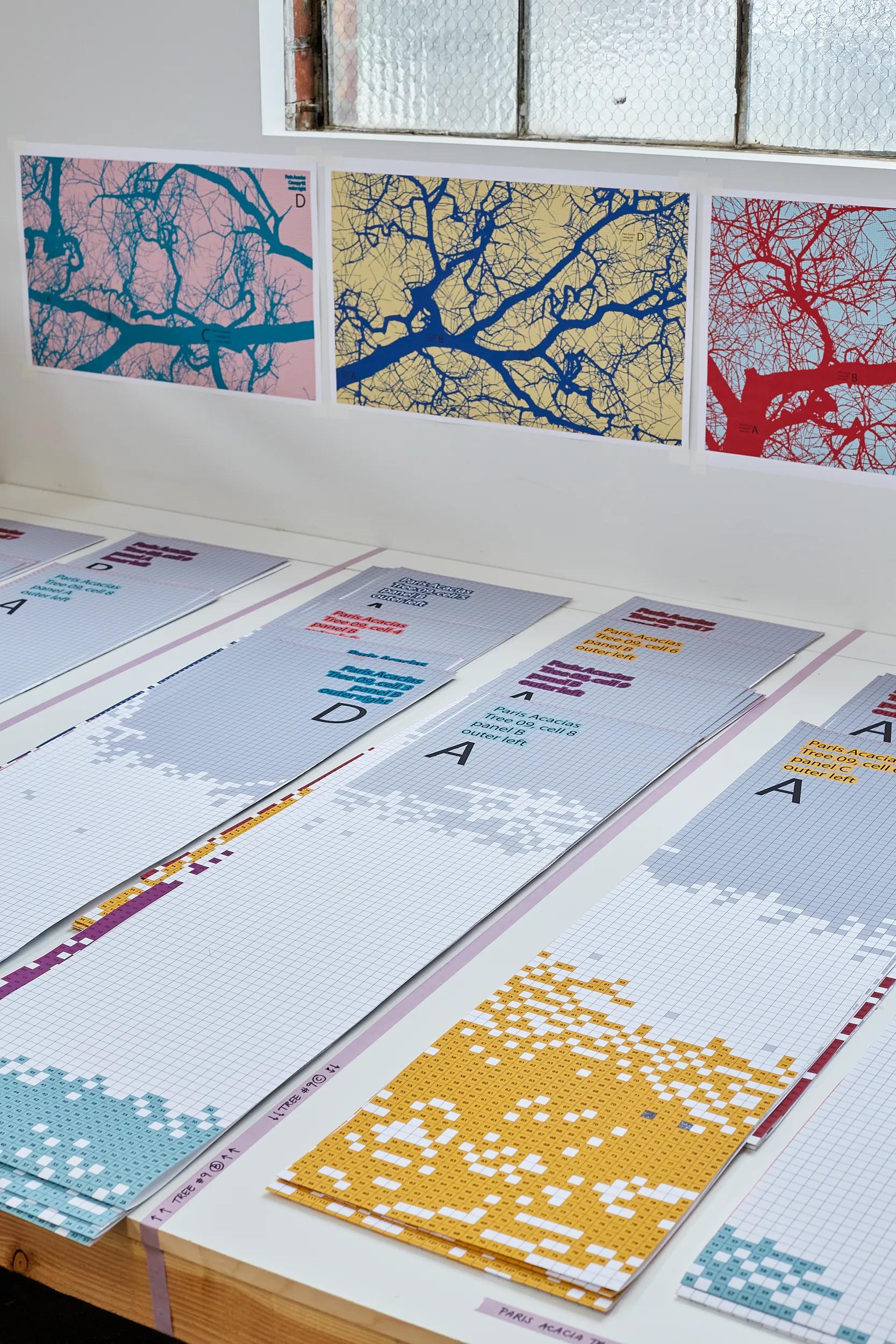 Image for exhibition 