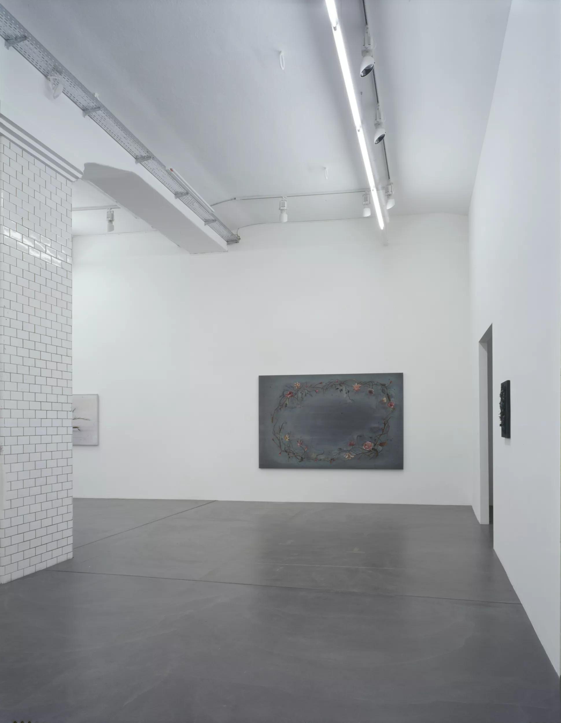 Installation view image for Installation views