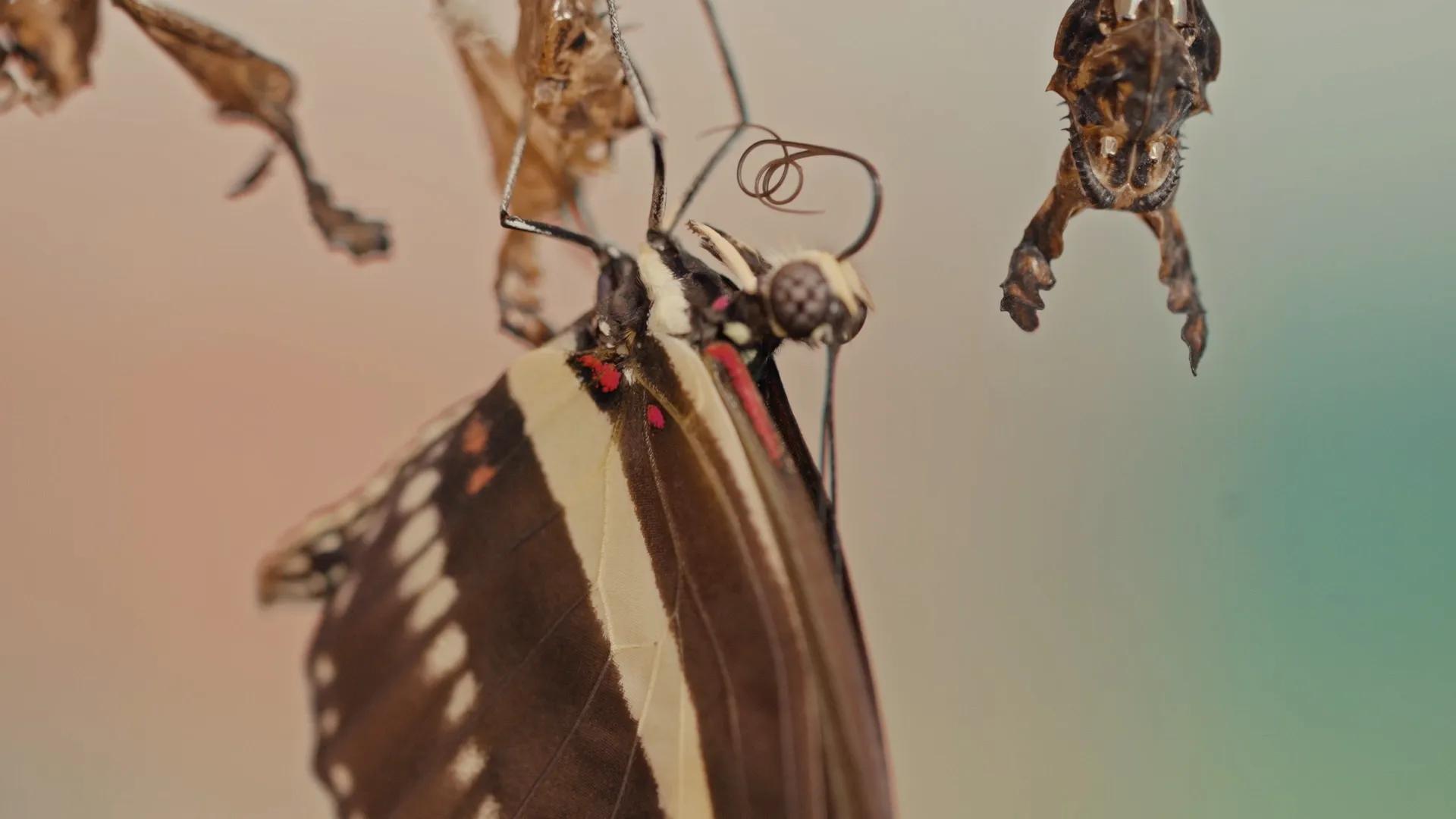 Image for right hero section