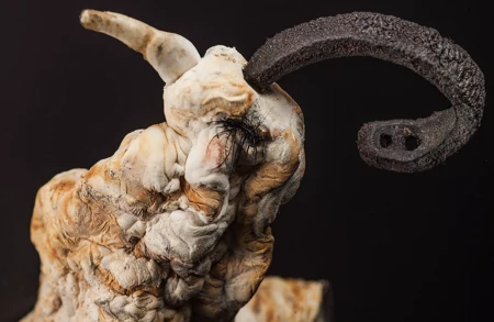 Thumbnail image for exhibition titled Roberto Cuoghi