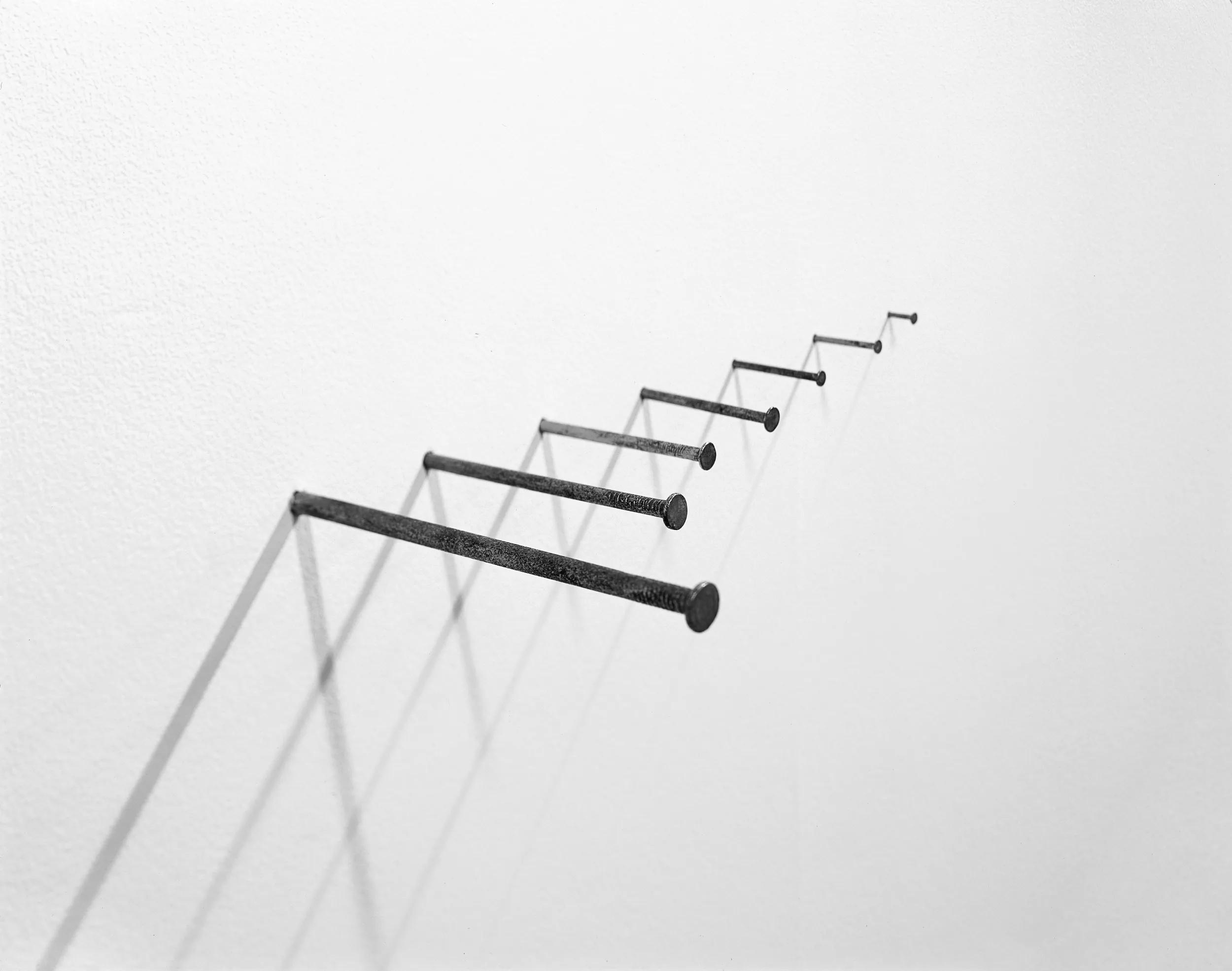 Image for exhibition 