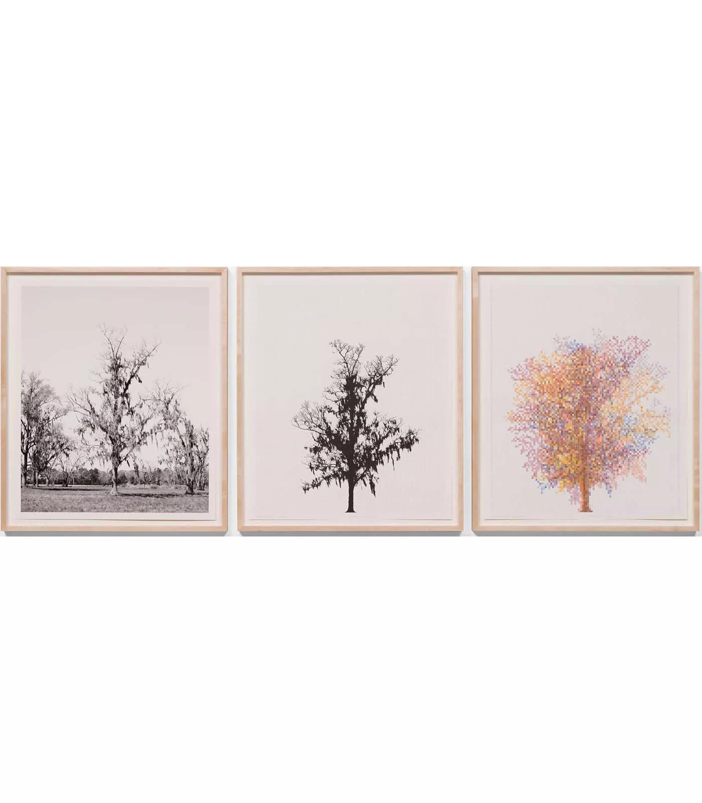 Image for exhibition titled Charles Gaines