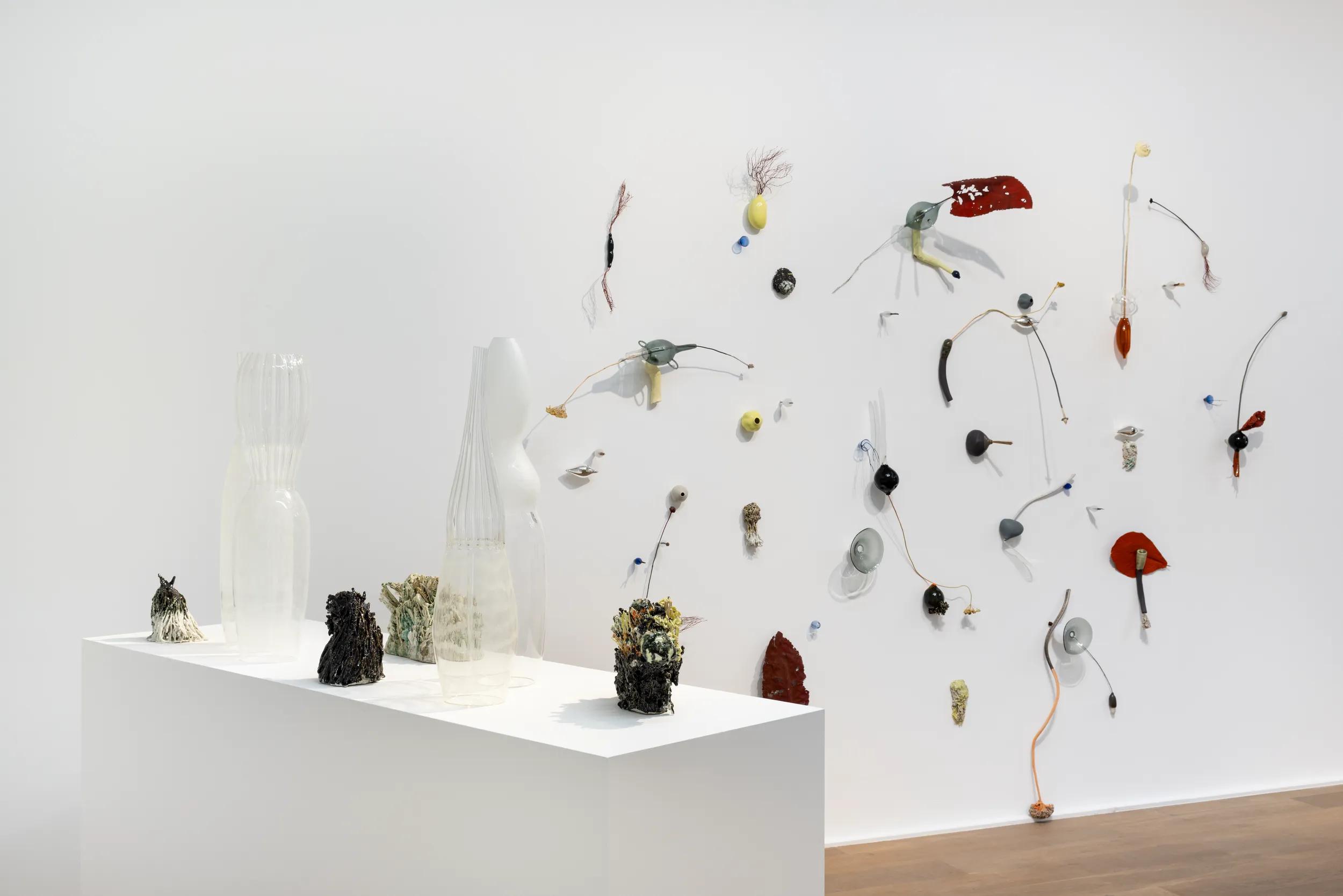 Installation view image for Installation Views