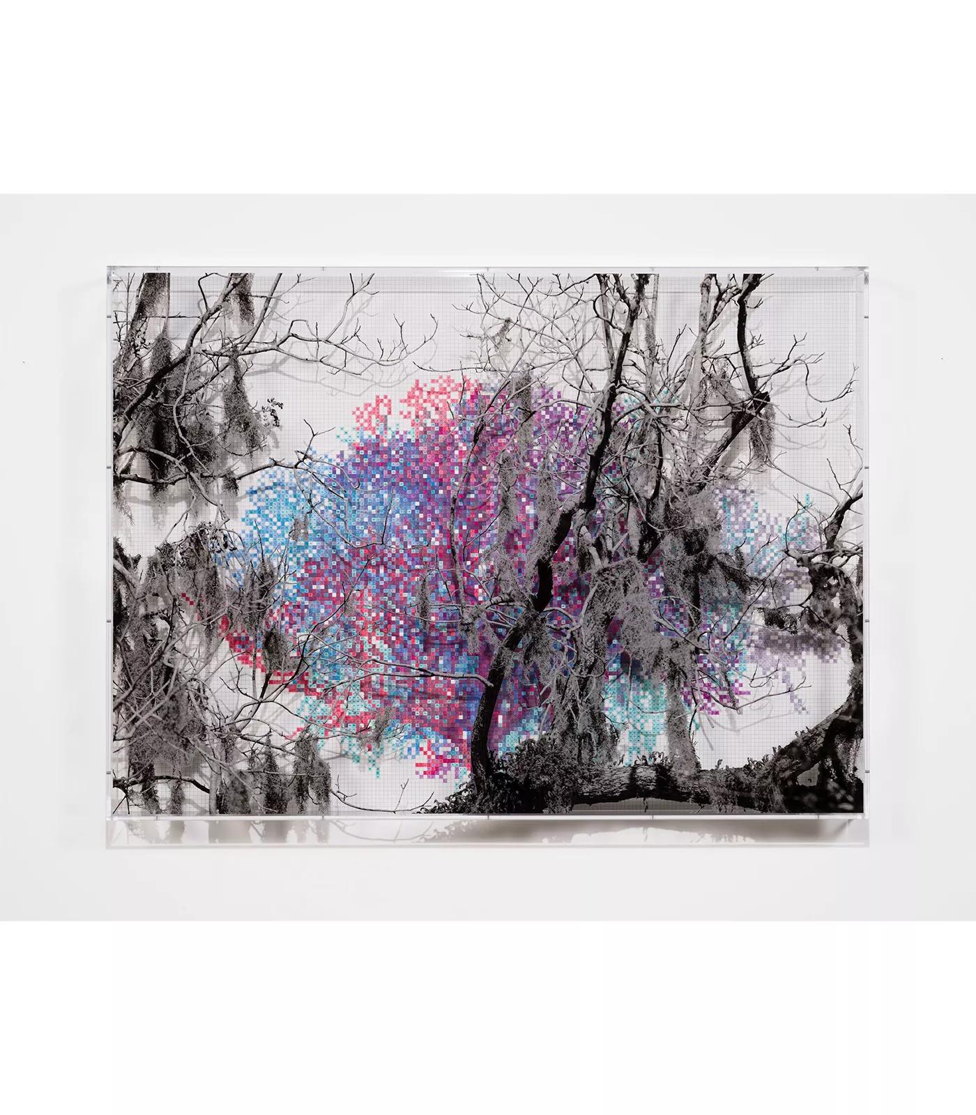 Image for exhibition titled Charles Gaines
