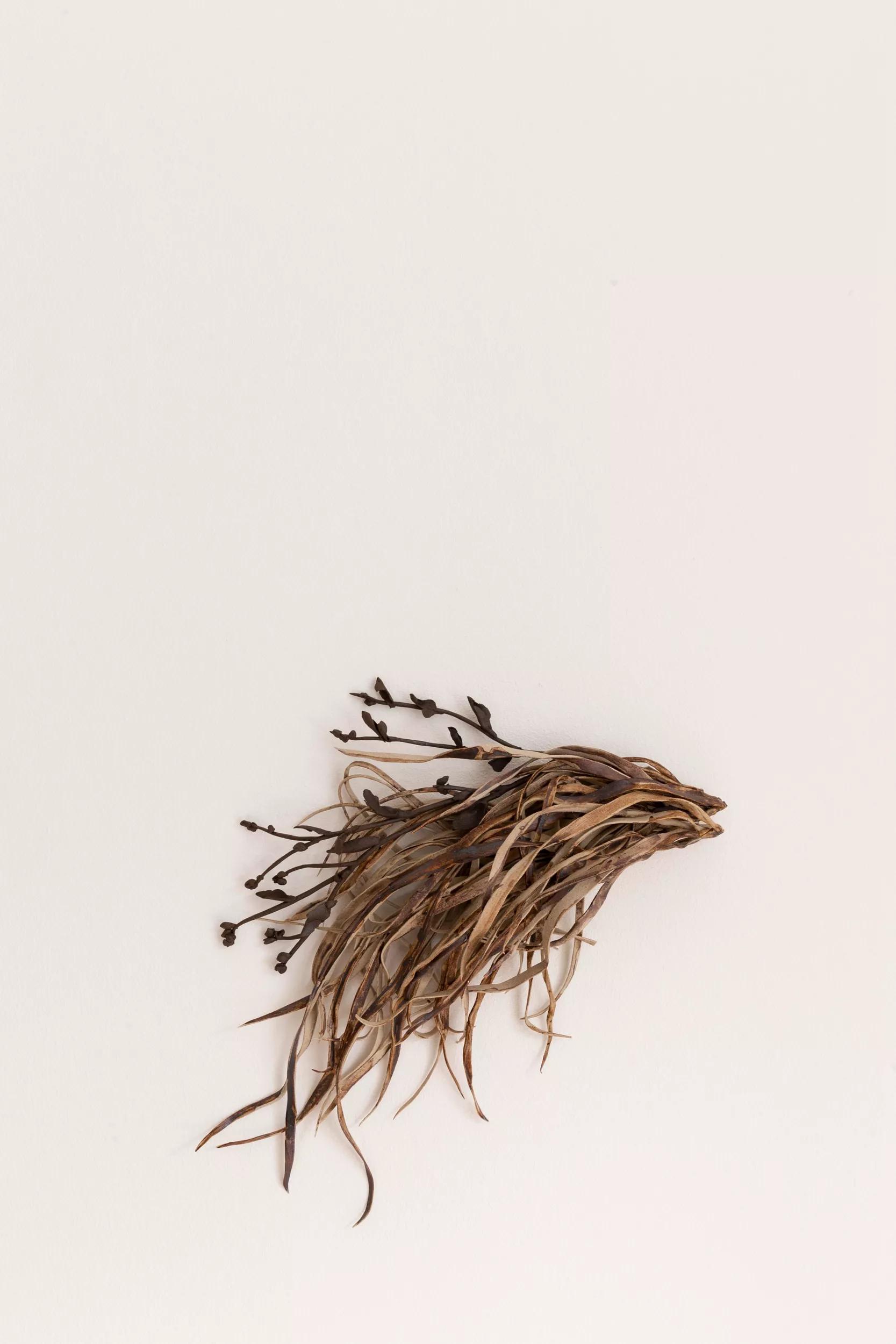 Image for exhibition 