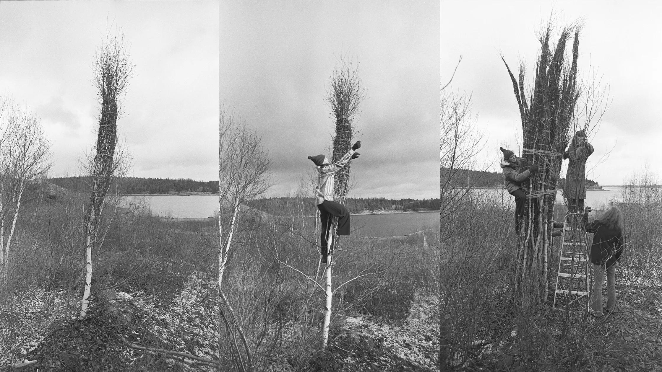 Hero image for event titled Artist Talk: Jackie Winsor