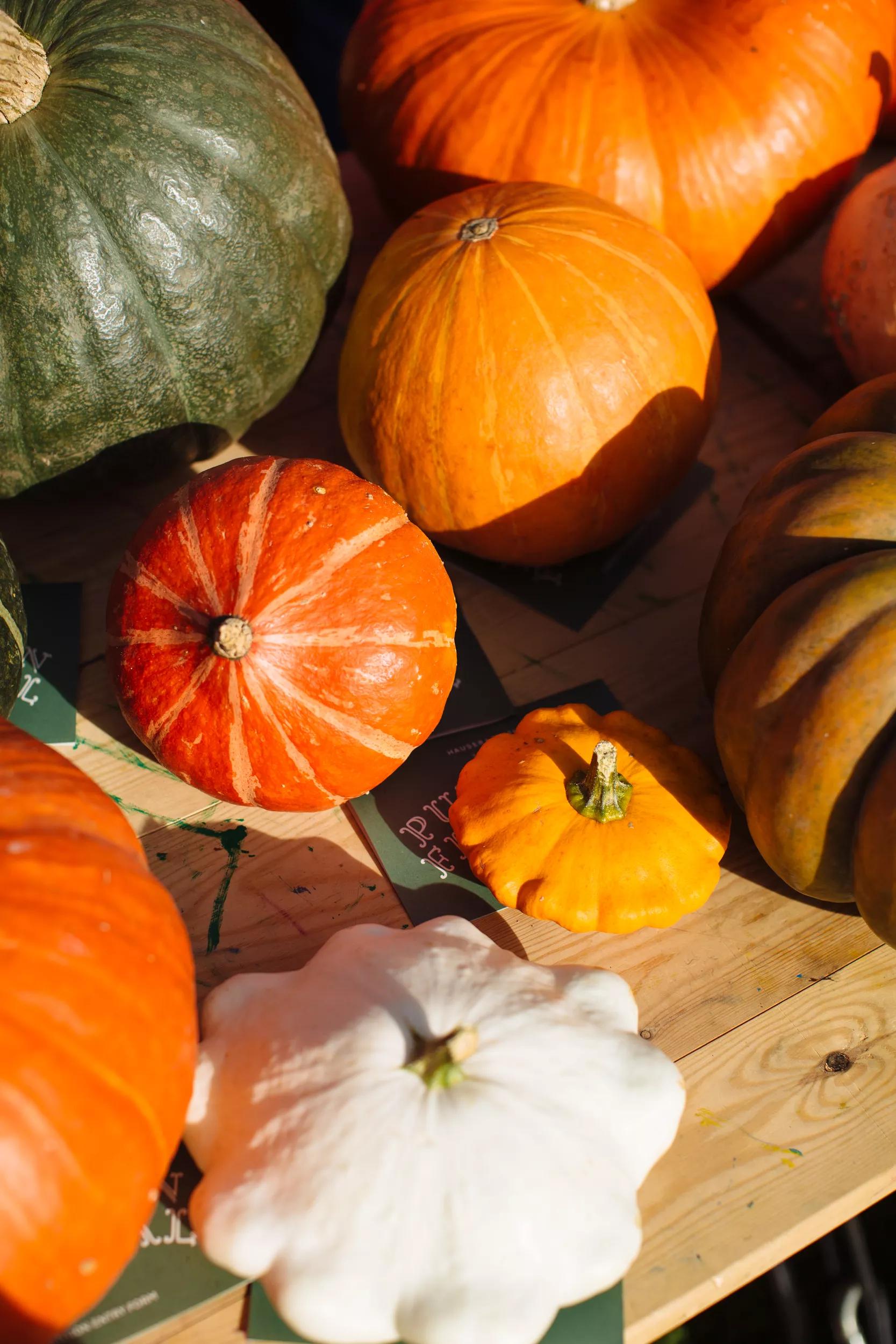 Hero image for event titled Pumpkin Festival 2020