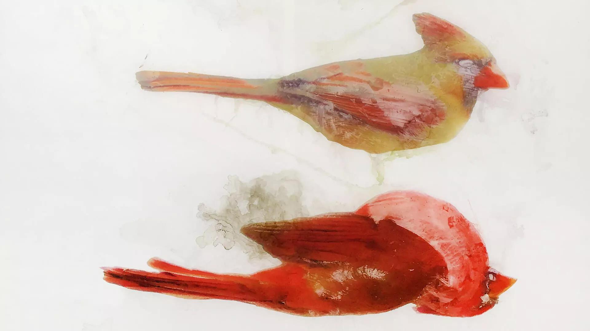 Image for exhibition 
