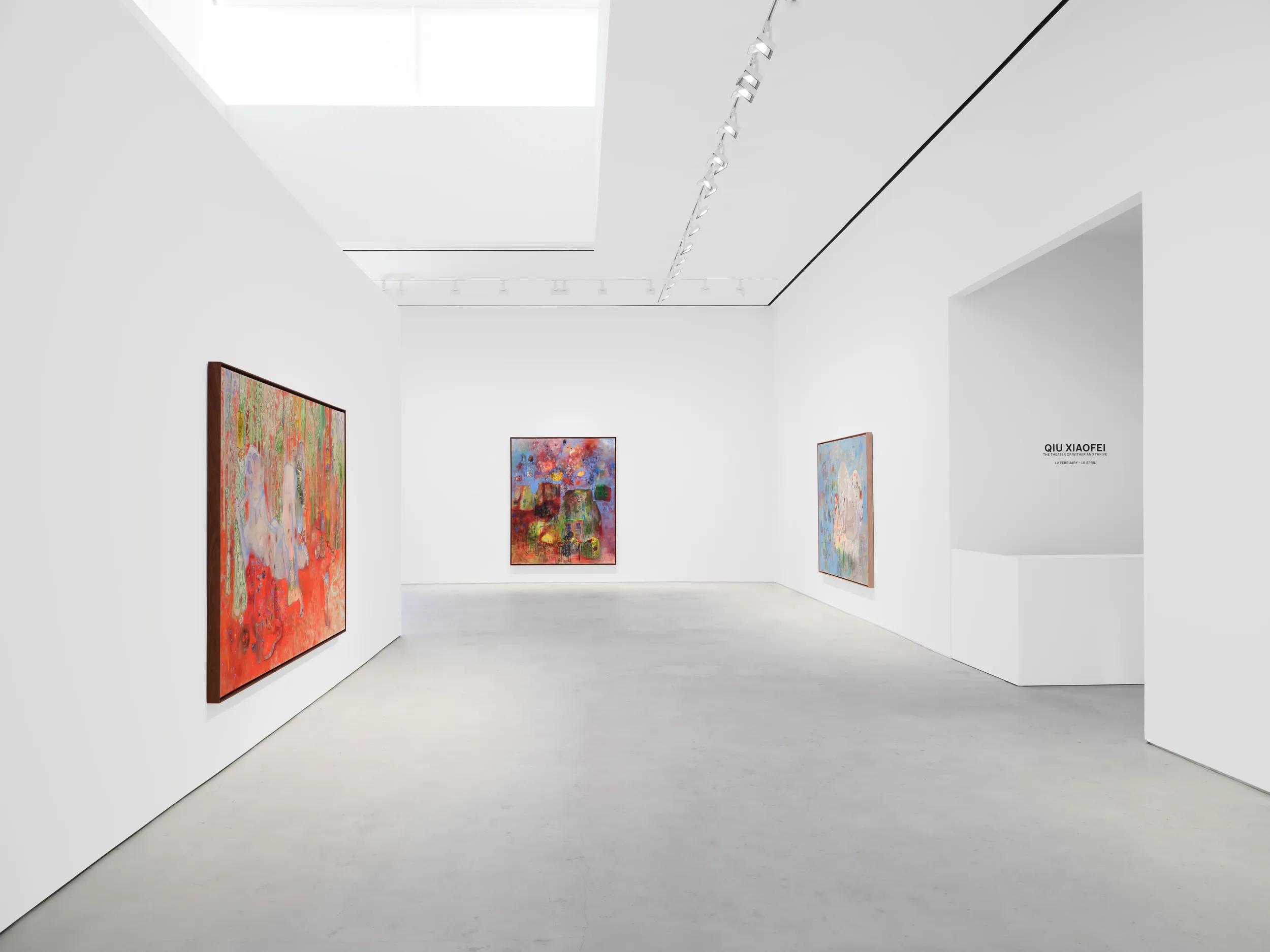 Installation view image for INSTALLATION VIEWS