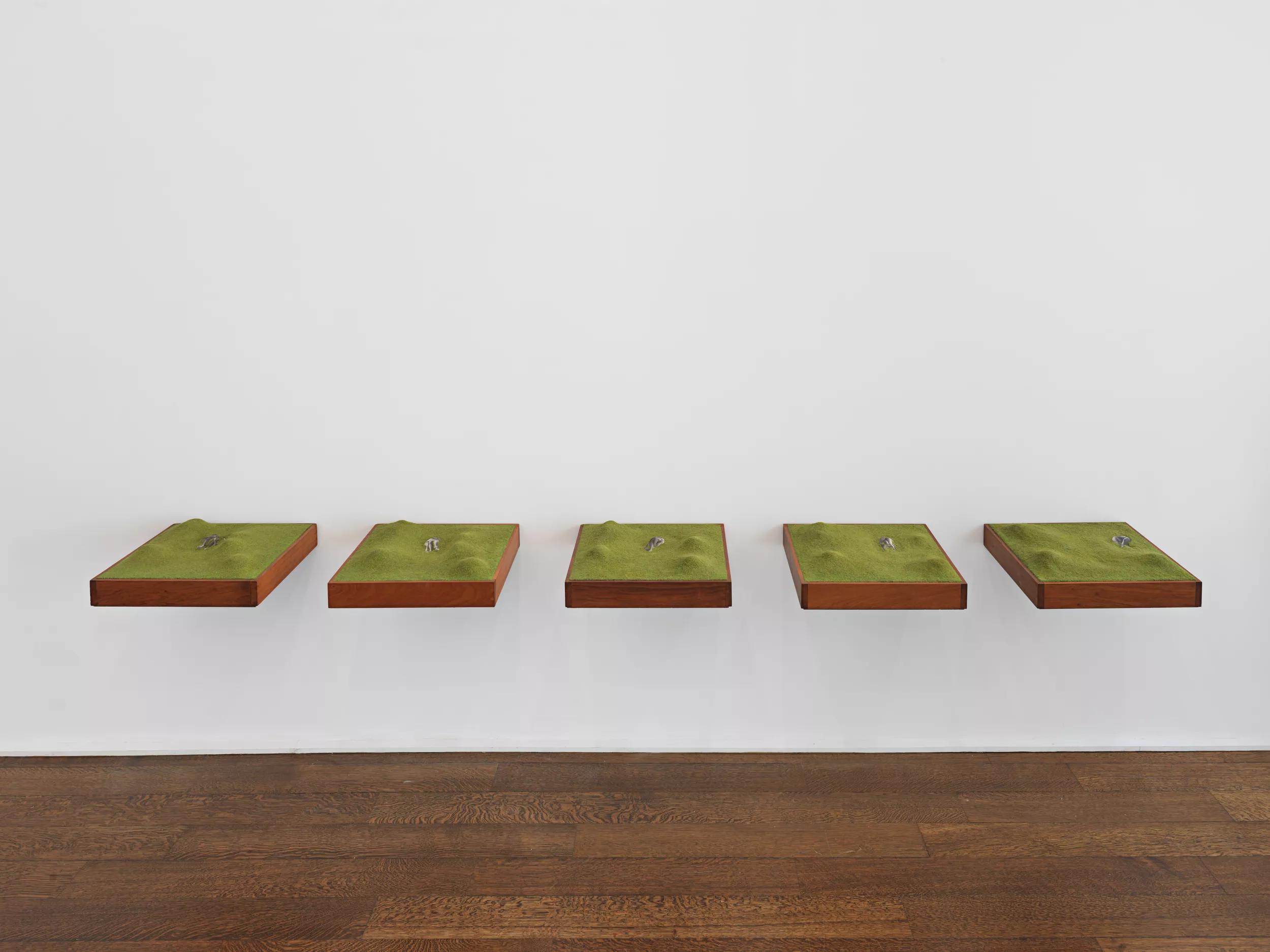 Image for exhibition 