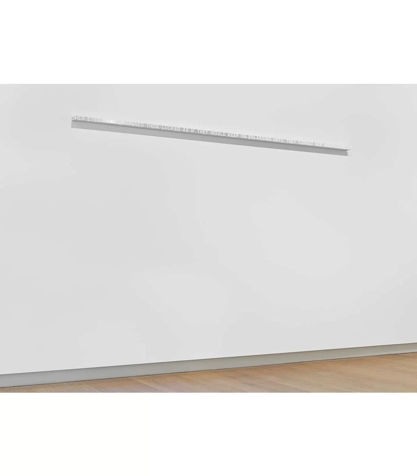 Image for exhibition titled Roni Horn