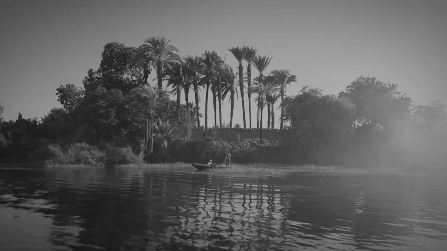 Image for exhibition titled Wael Shawky