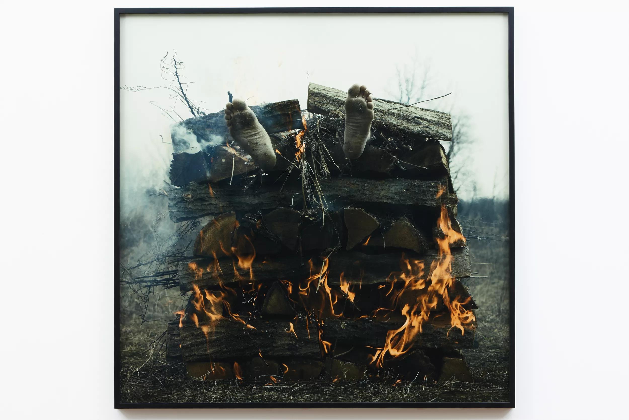 Image for exhibition 