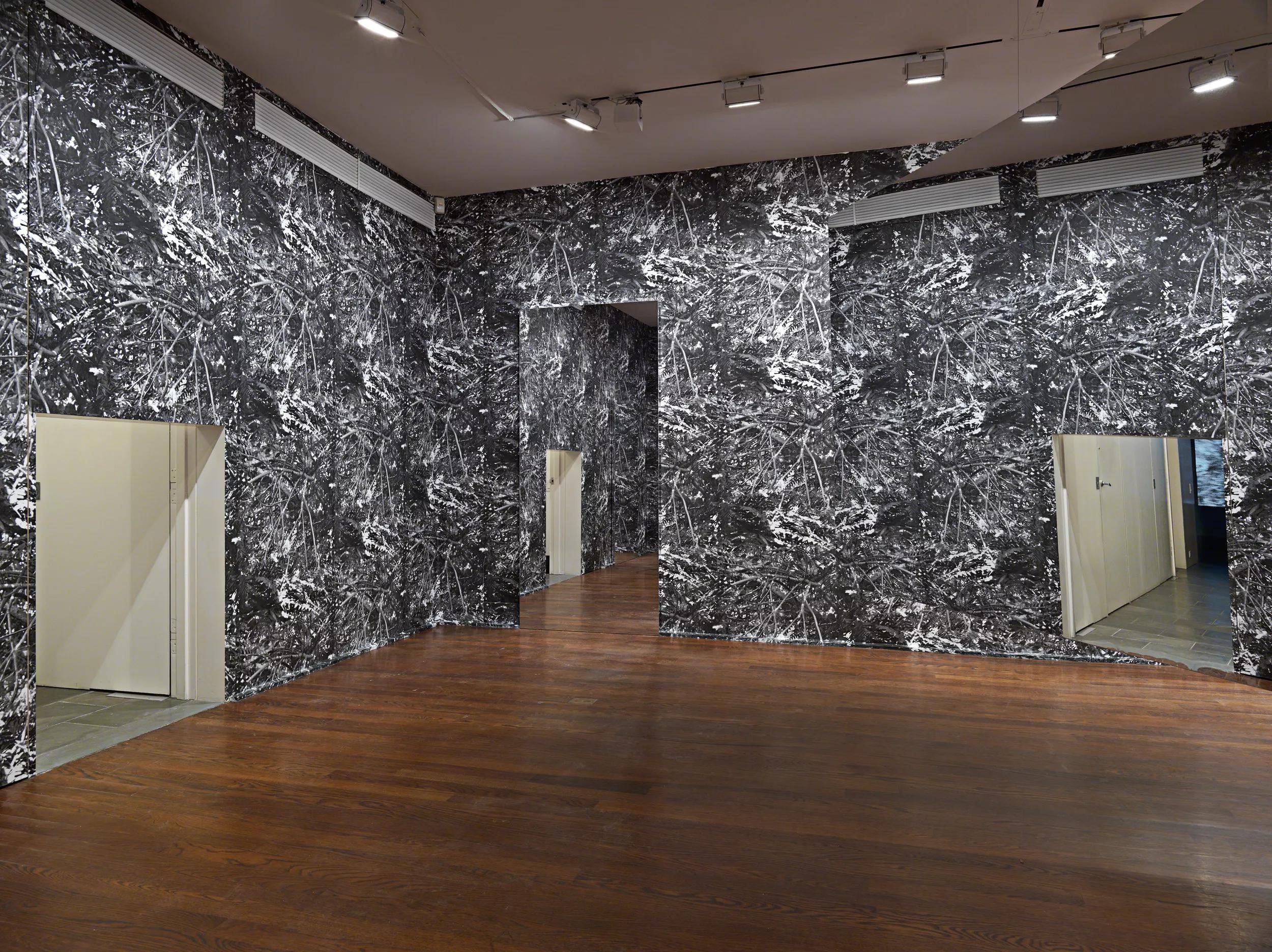 Image for exhibition 