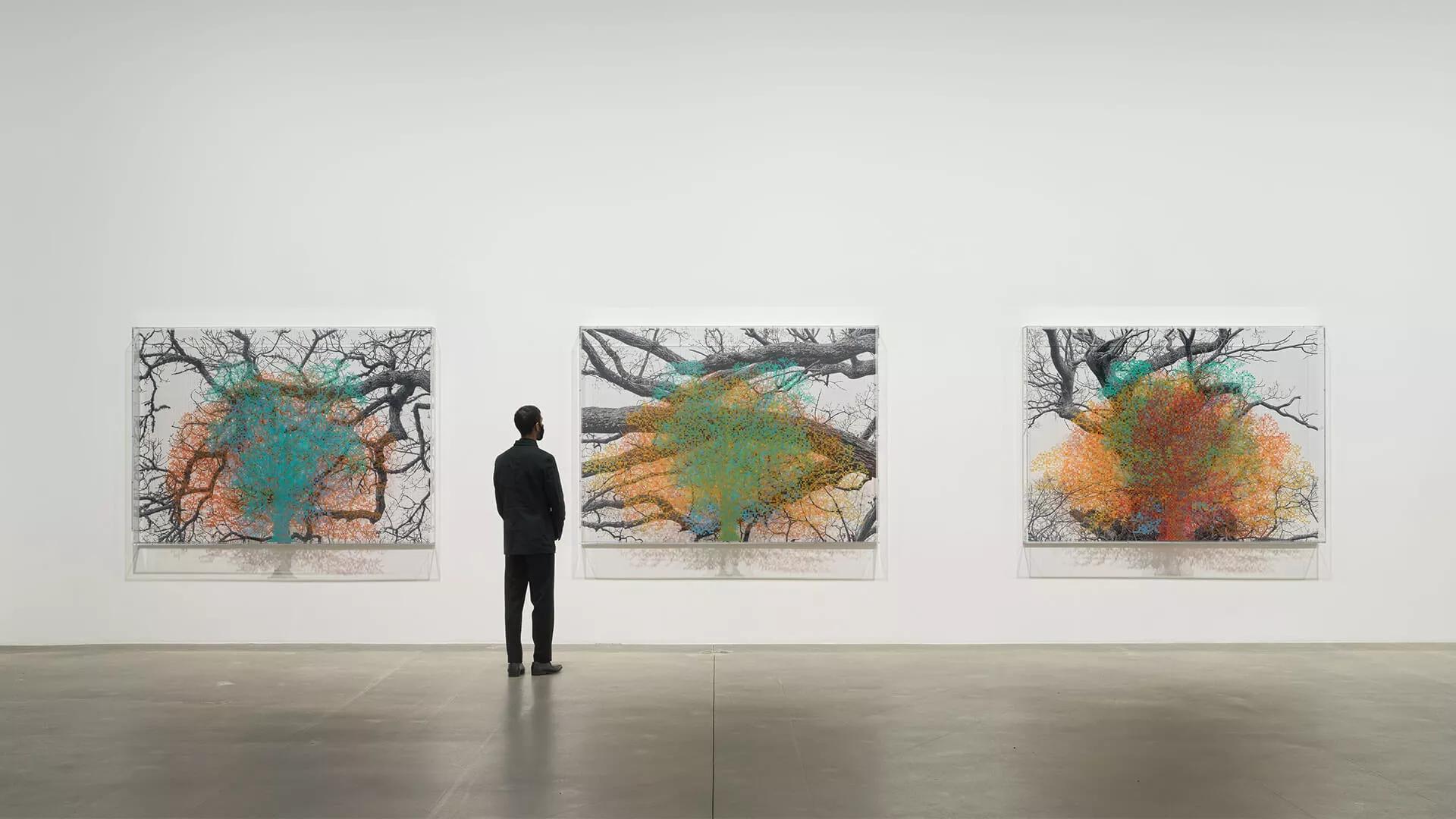 Image for exhibition 