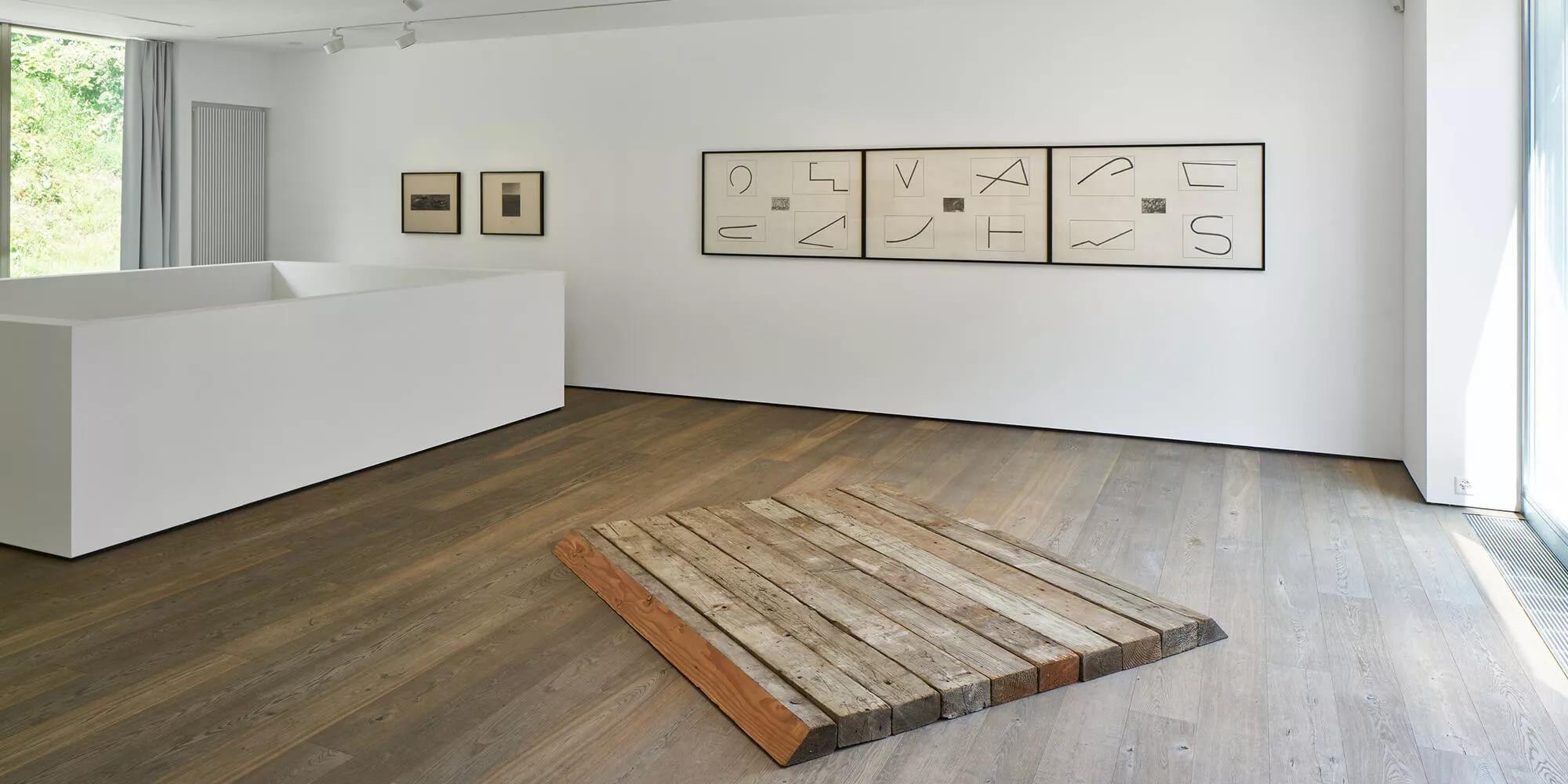 Hero image for exhibition titled Map and Territory