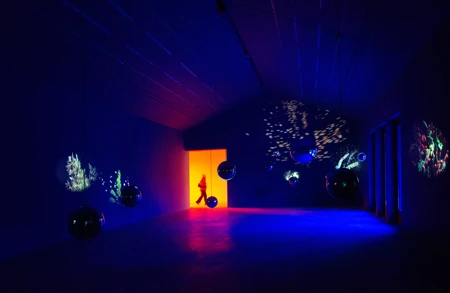 Thumbnail image for exhibition titled Pipilotti Rist