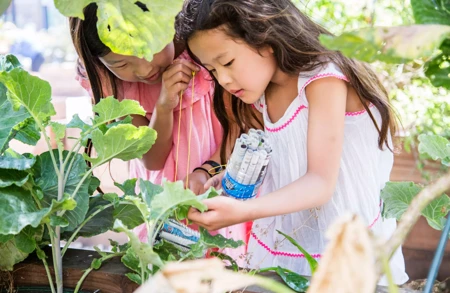 Image for events titled Family Garden Workshop: Self-Watering Plants, Ollas for All