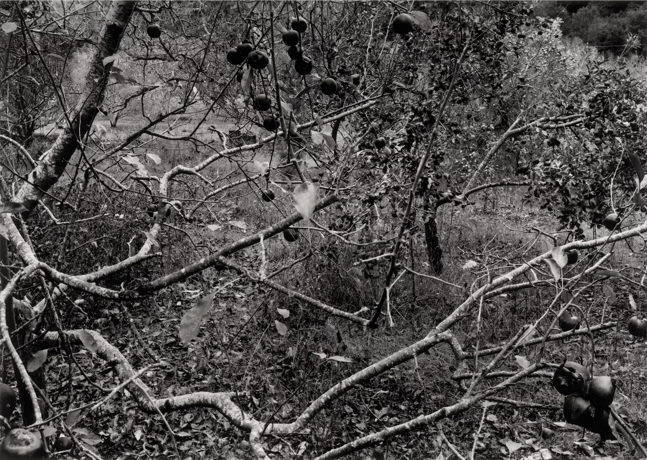 Image for exhibition 