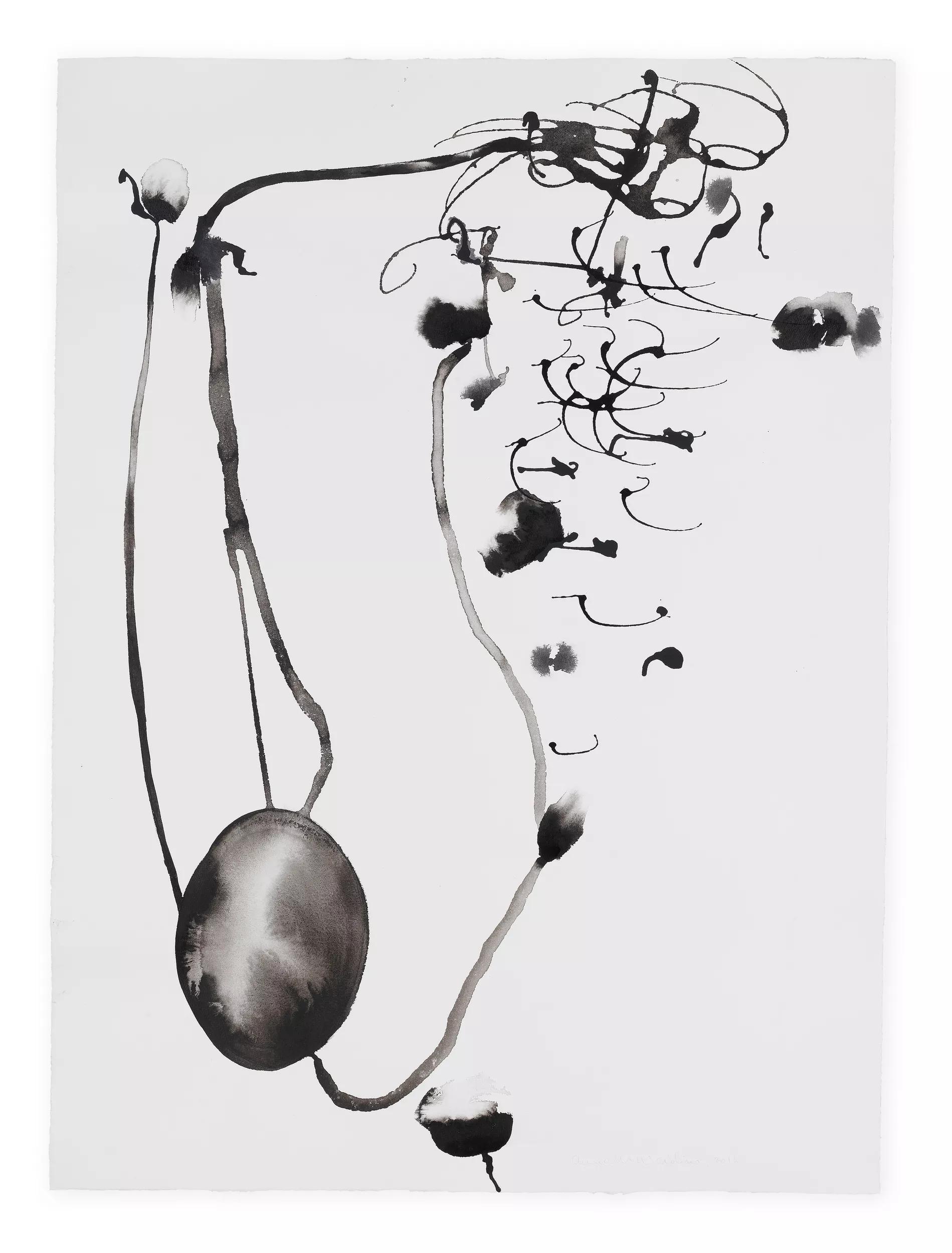 Image for exhibition 