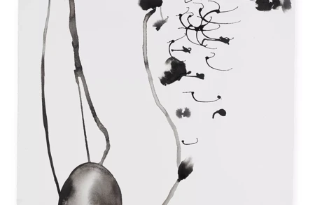 Thumbnail image for exhibition titled Anna Maria Maiolino