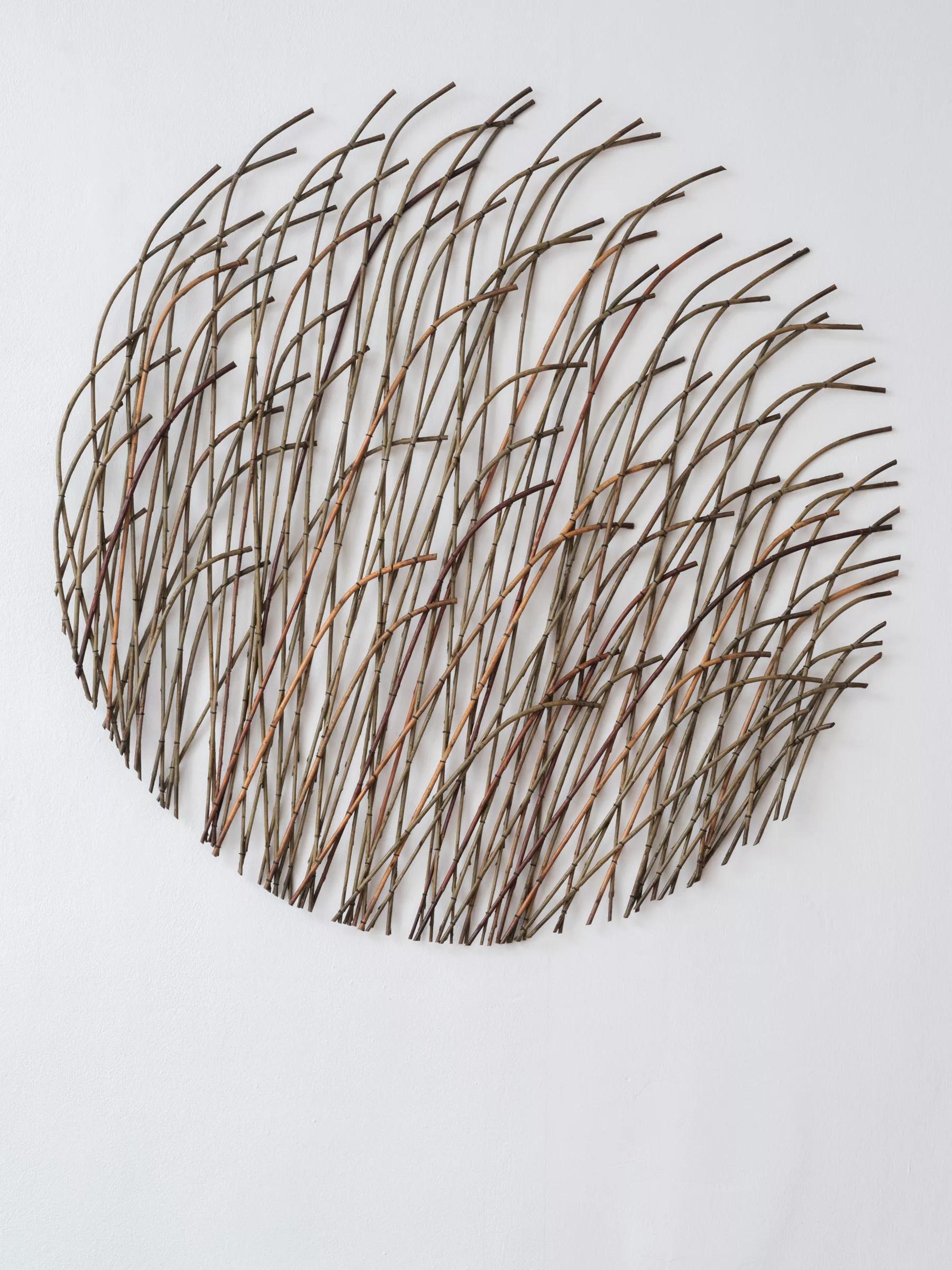 Image for exhibition titled Lizzie Farey  