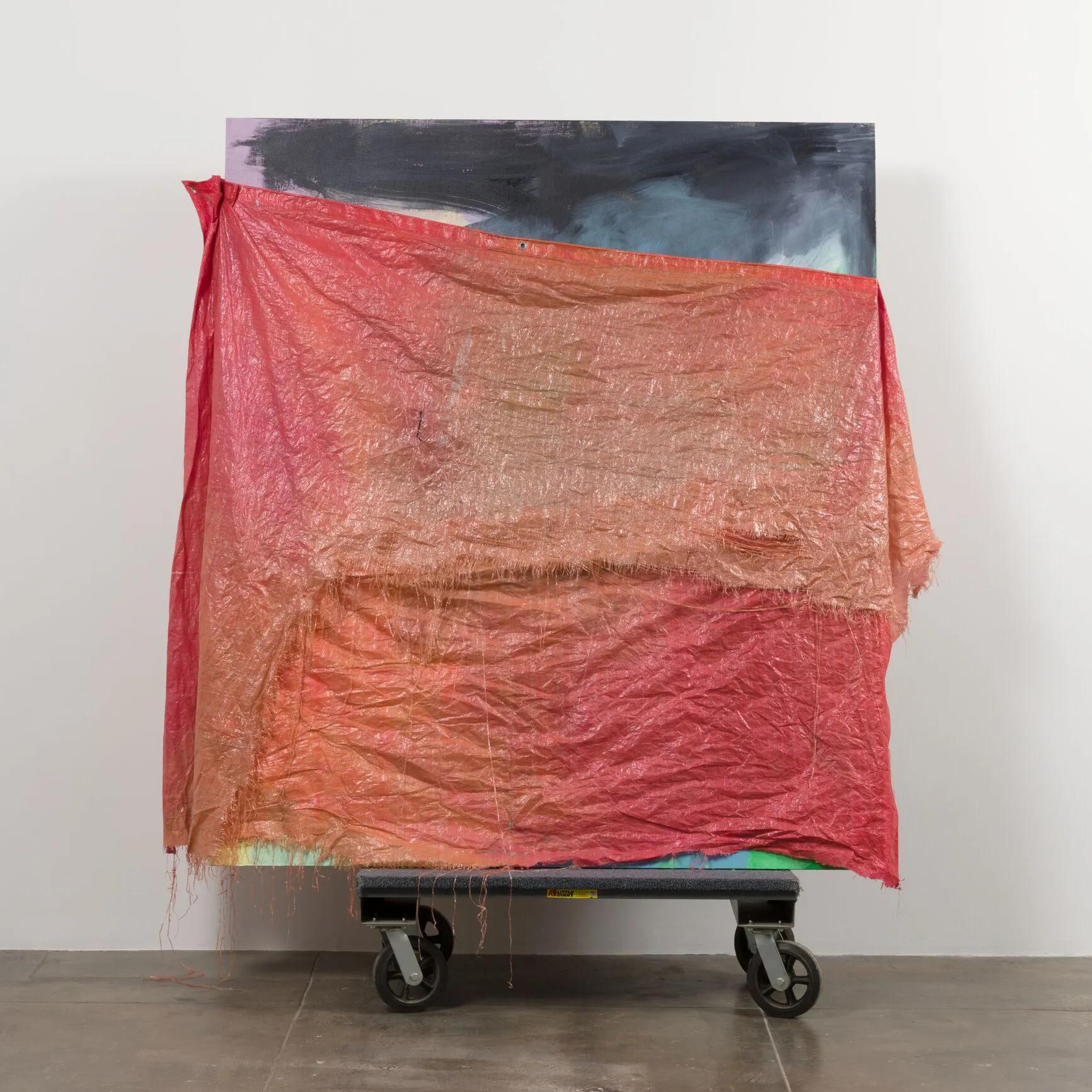 Image for DAVID HAMMONS
