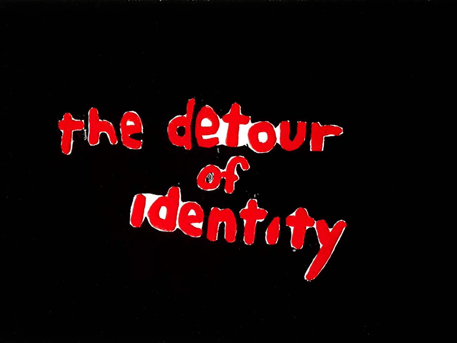 Image for  THE DETOUR OF IDENTITY