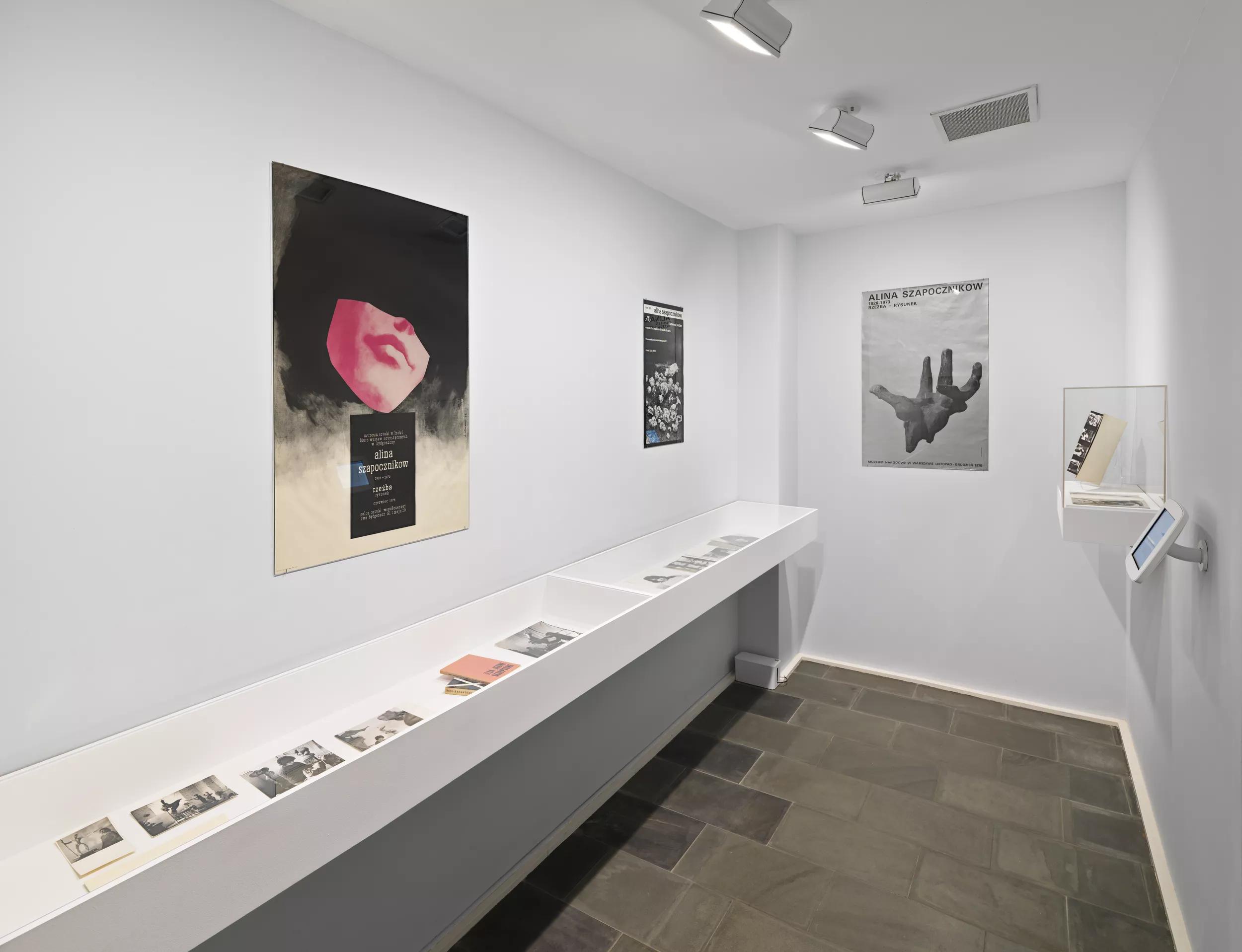 Installation view image for Installation views