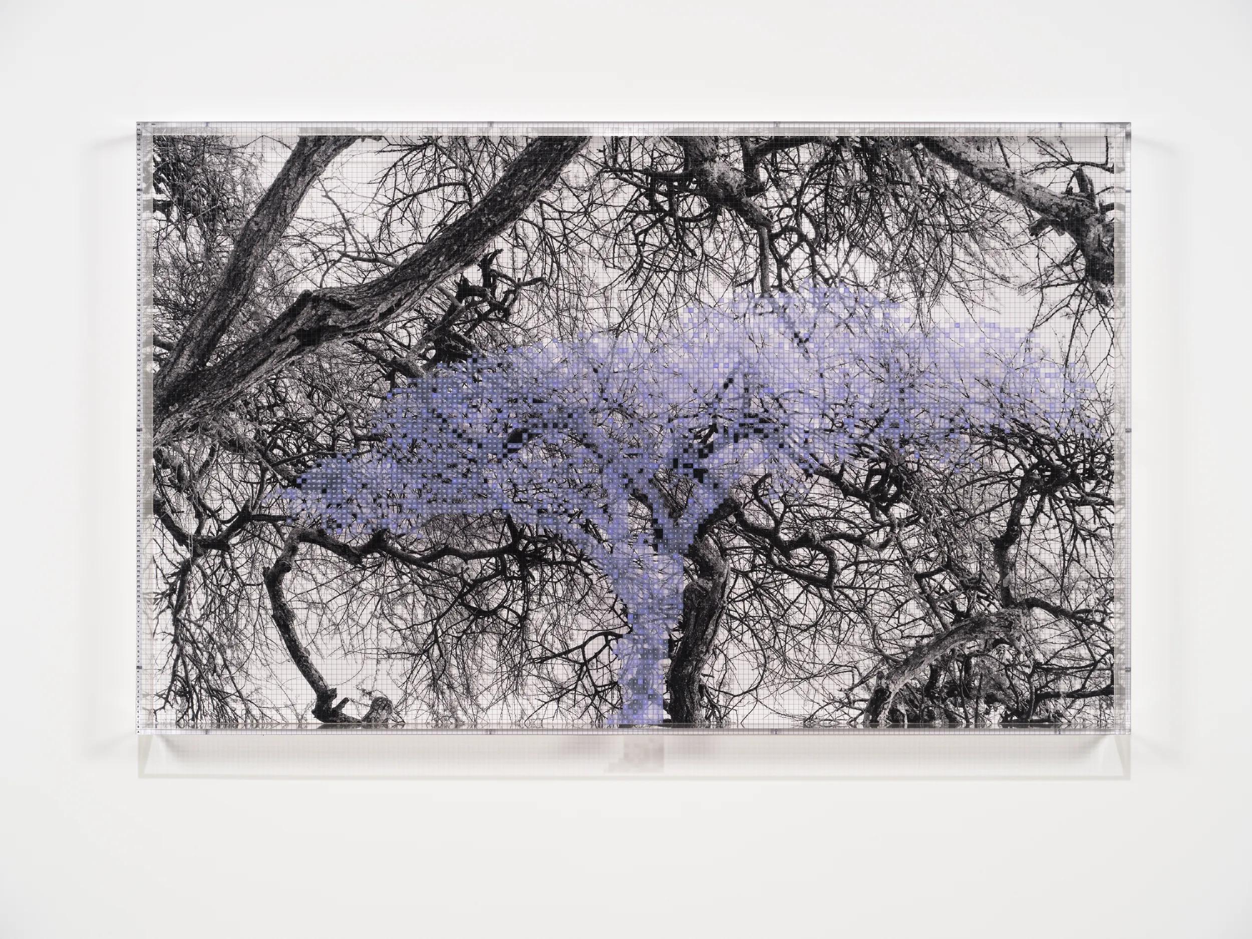 Image for exhibition titled Charles Gaines