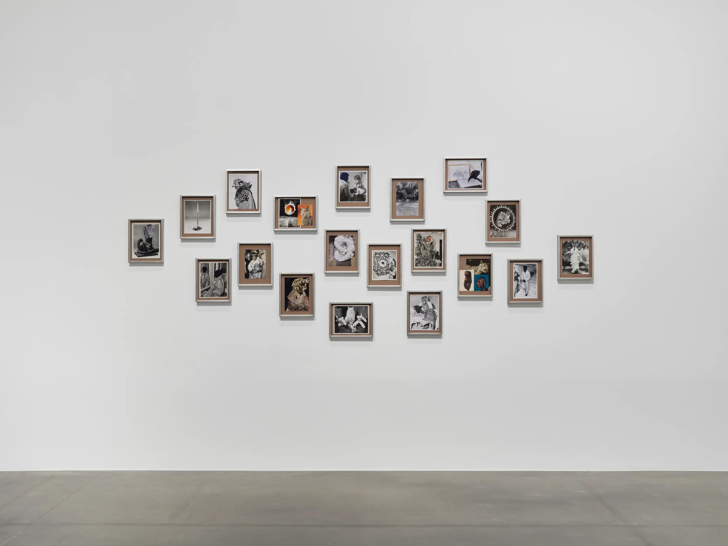 Image for exhibition titled Lorna Simpson