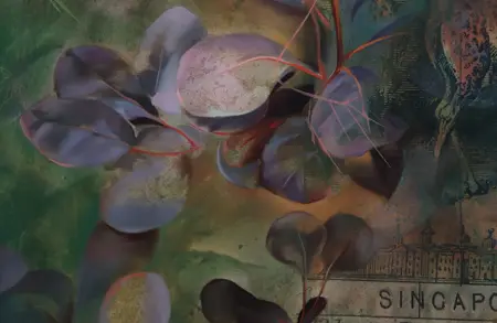 Image for exhibition titled Firelei Báez