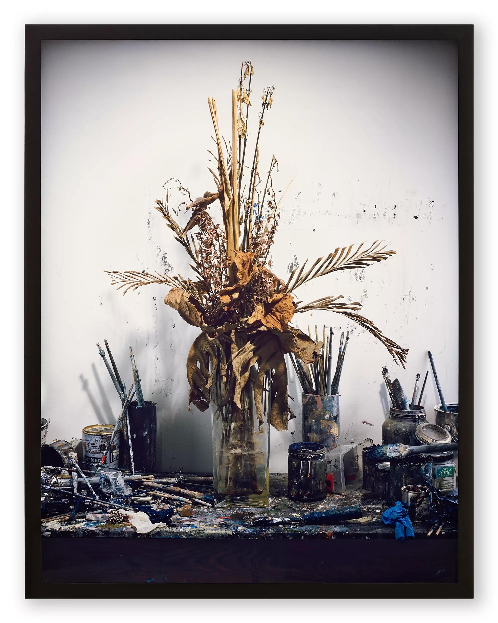 Image for exhibition titled Rodney Graham