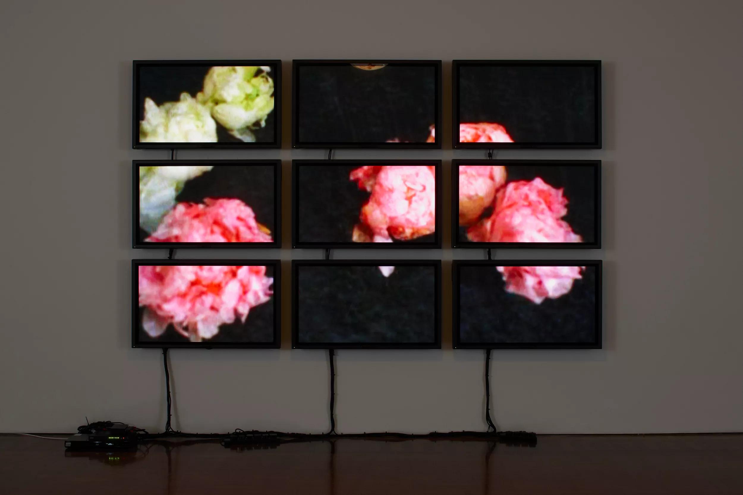 Image for exhibition 